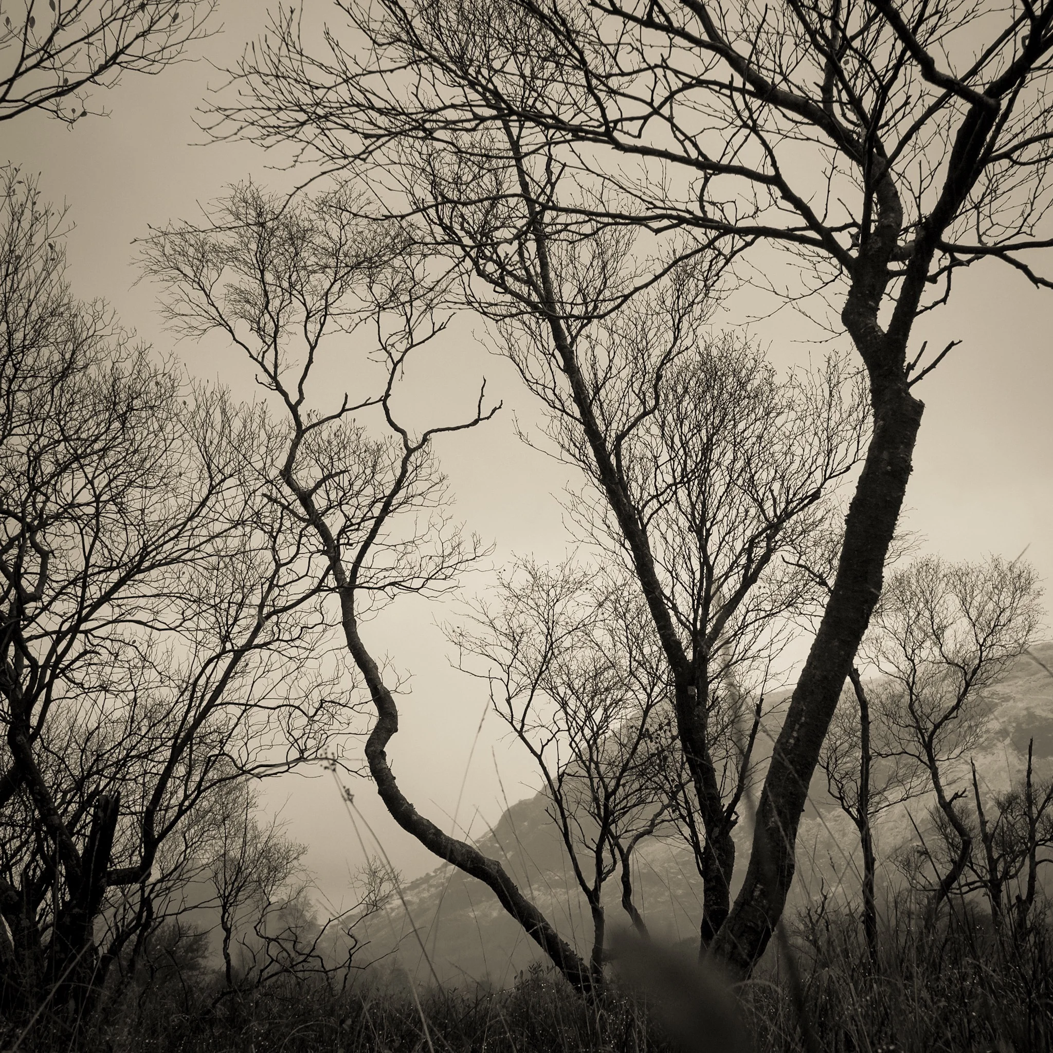 Perfection is overrated