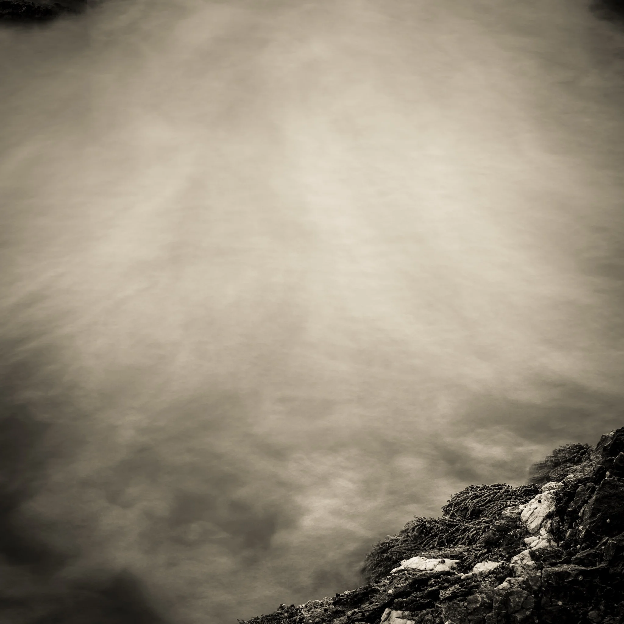 Stop, look, listen and feel