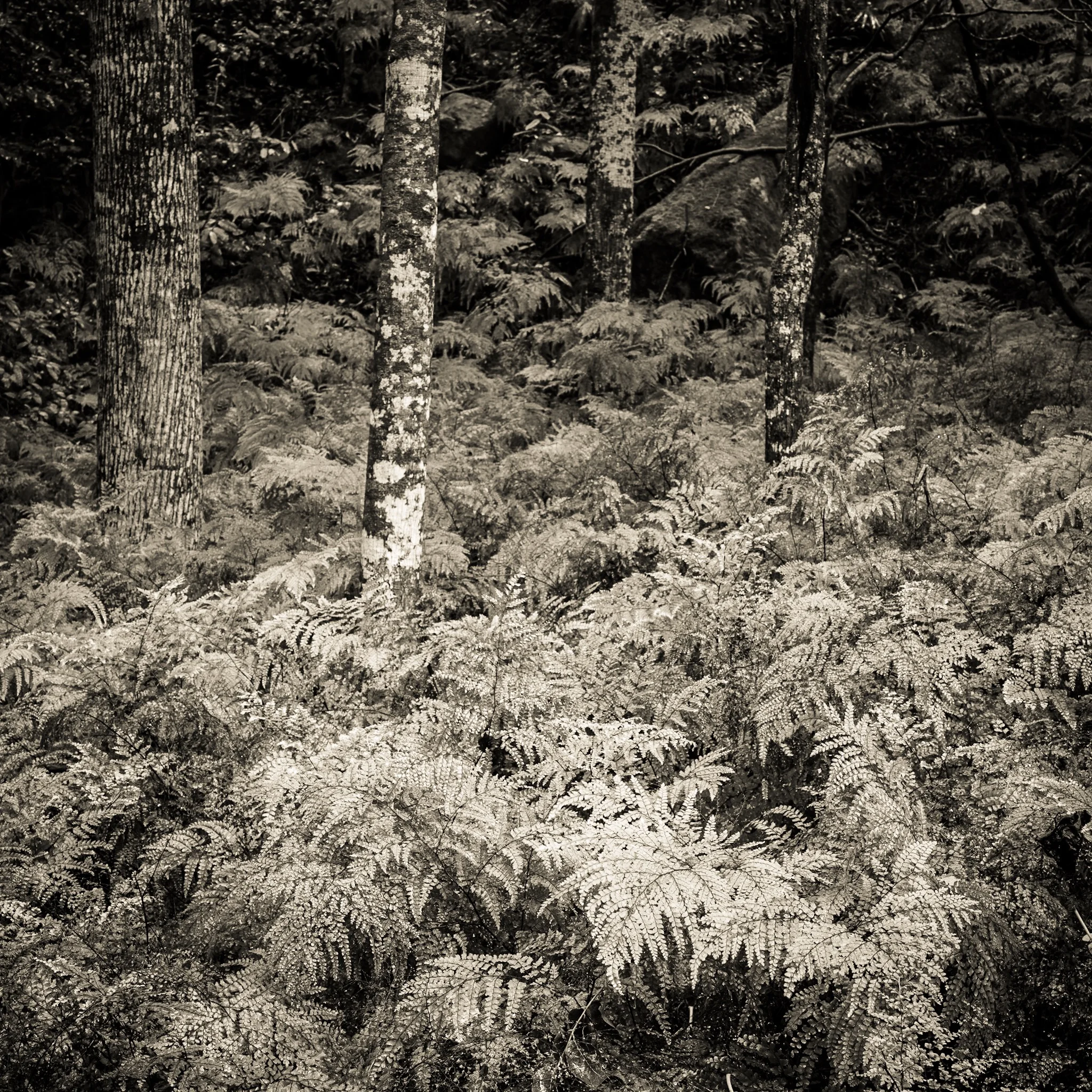 Framing from the corners