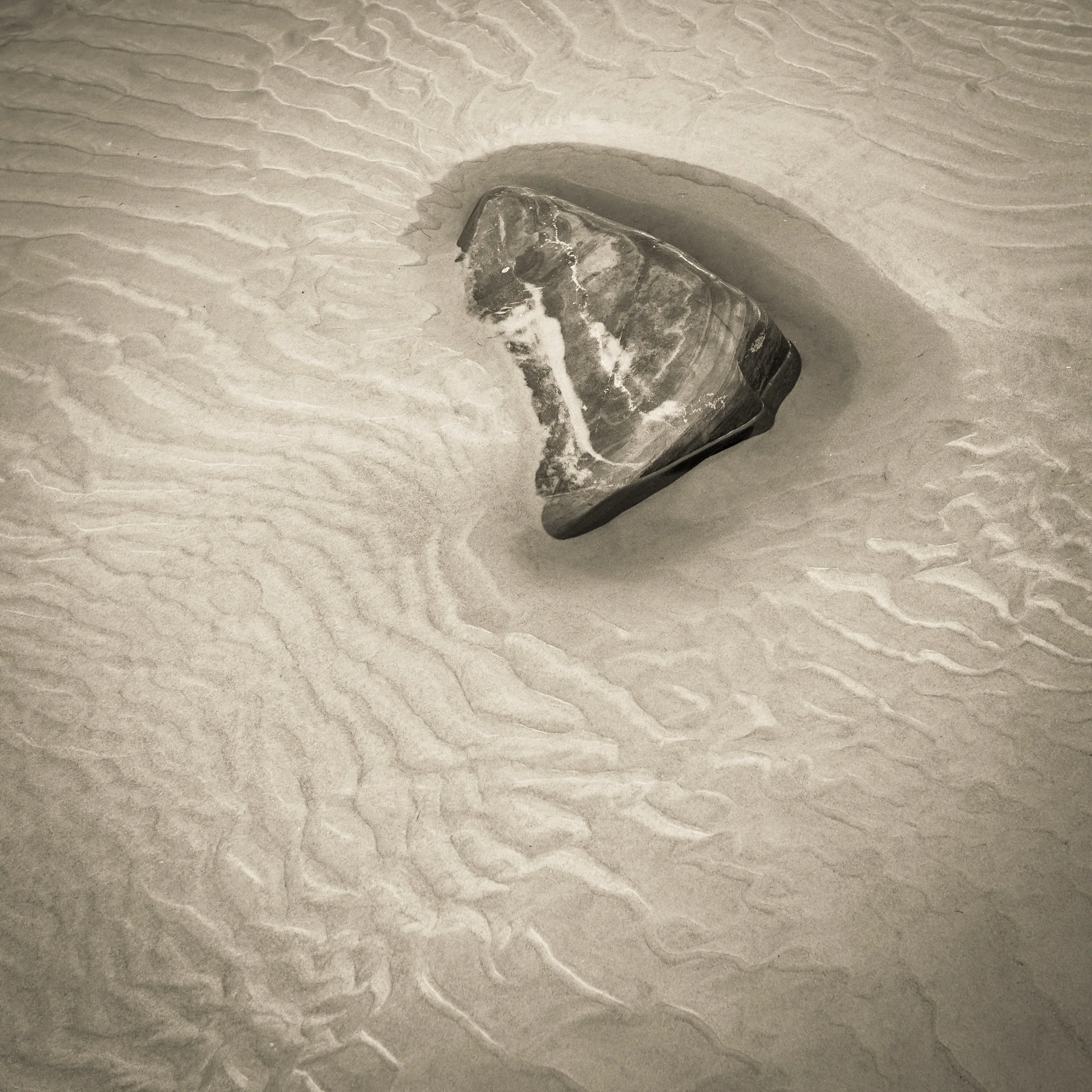 Study Intensely &amp; Specifically 