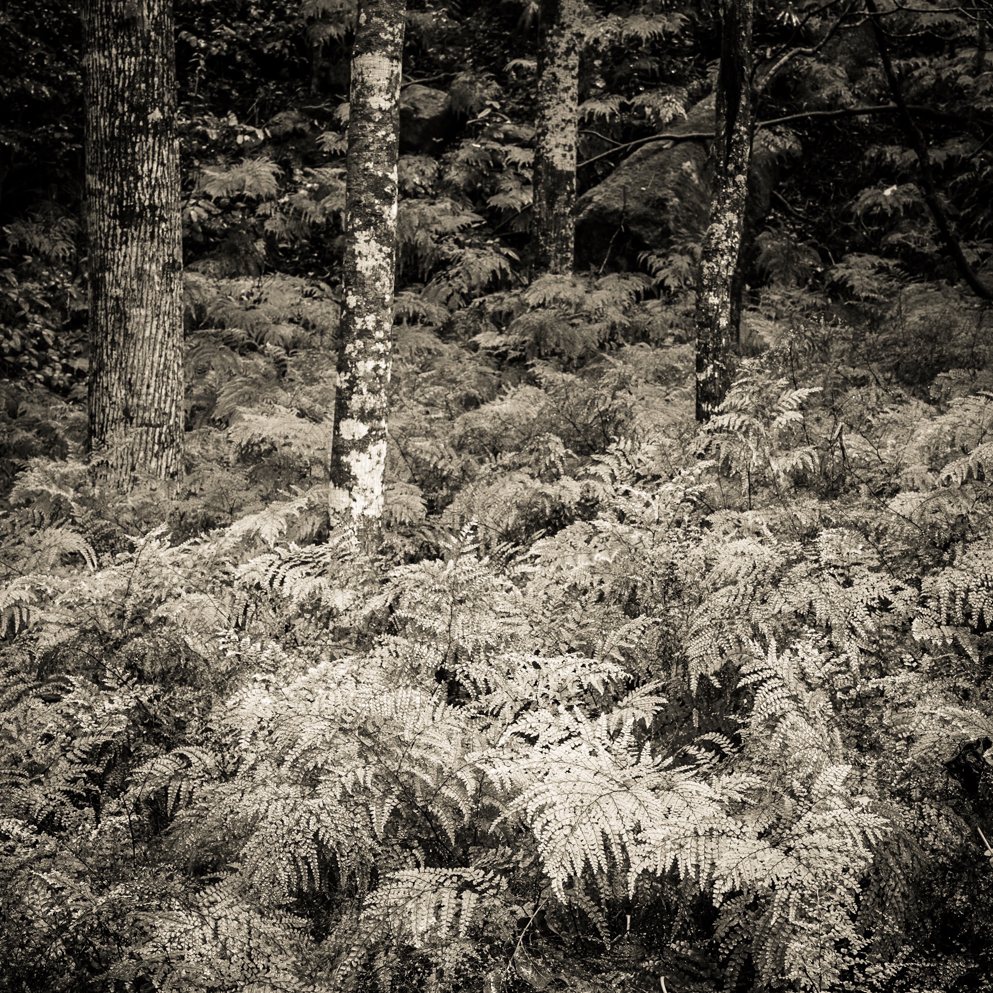 Fighting for our children’s future