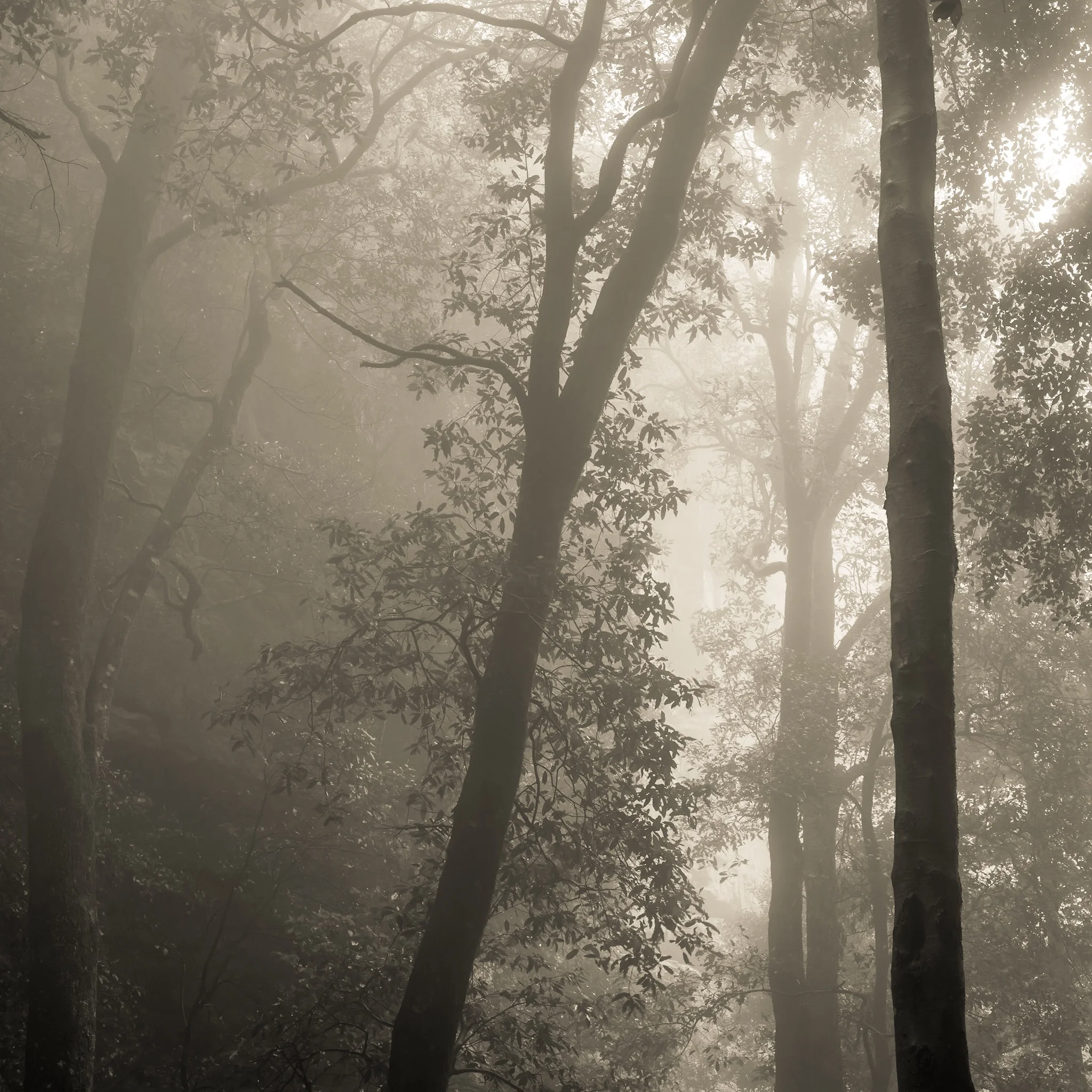 Practise until you reach unconscious competence 