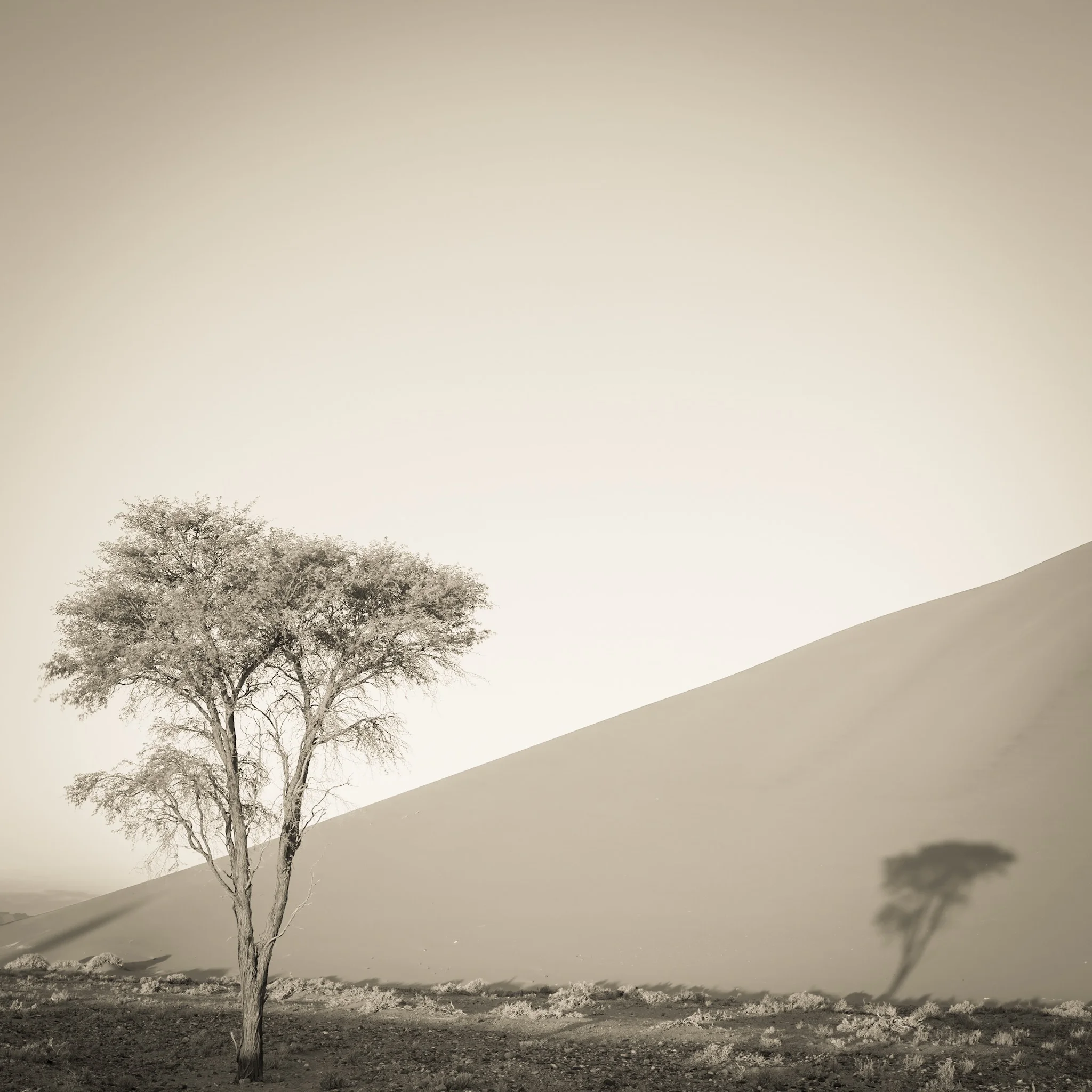 Wait for the feeling