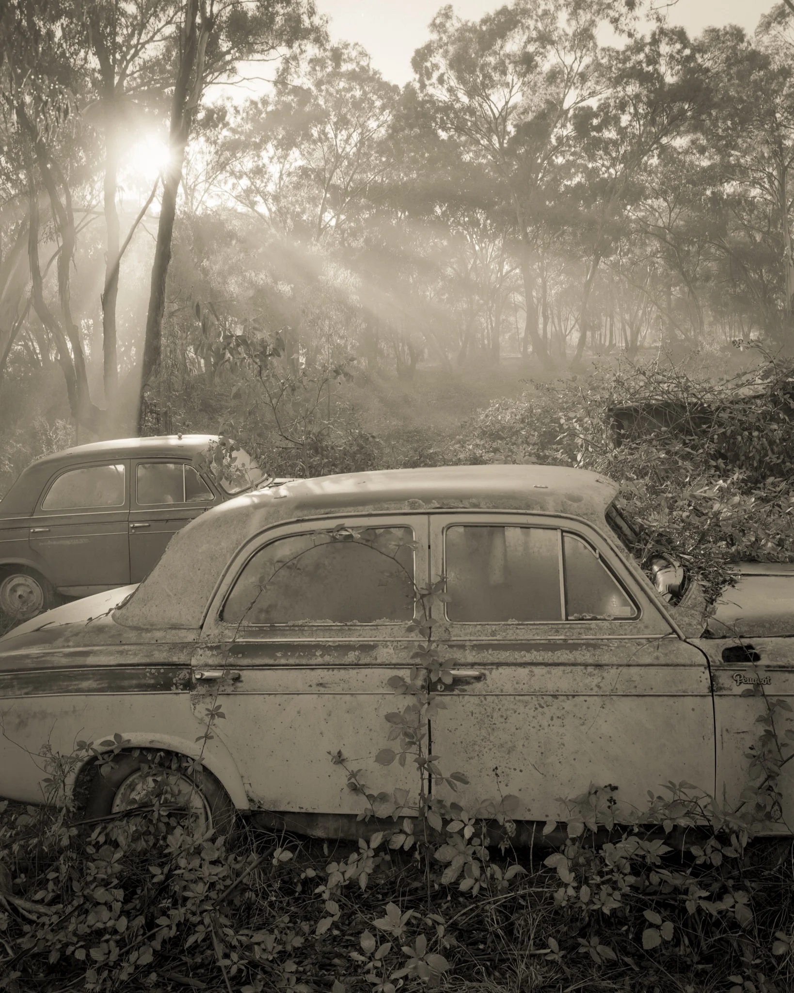 Printing your photographs