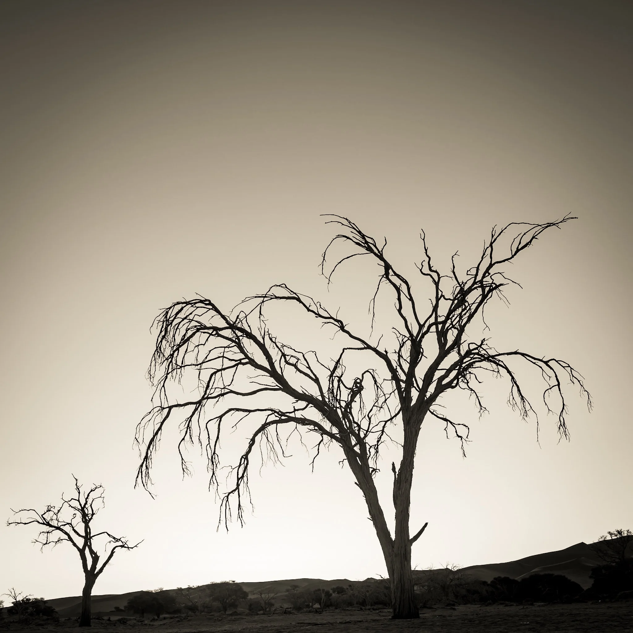 Lightroom Keyboard Shortcuts