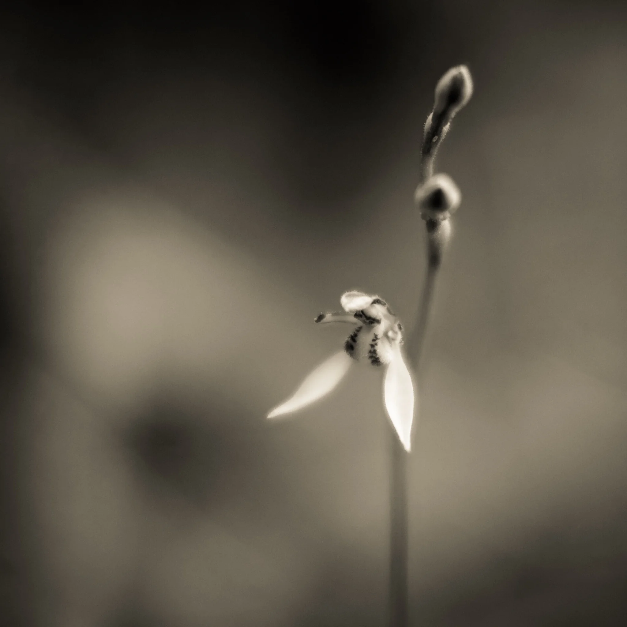 Hold the camera still