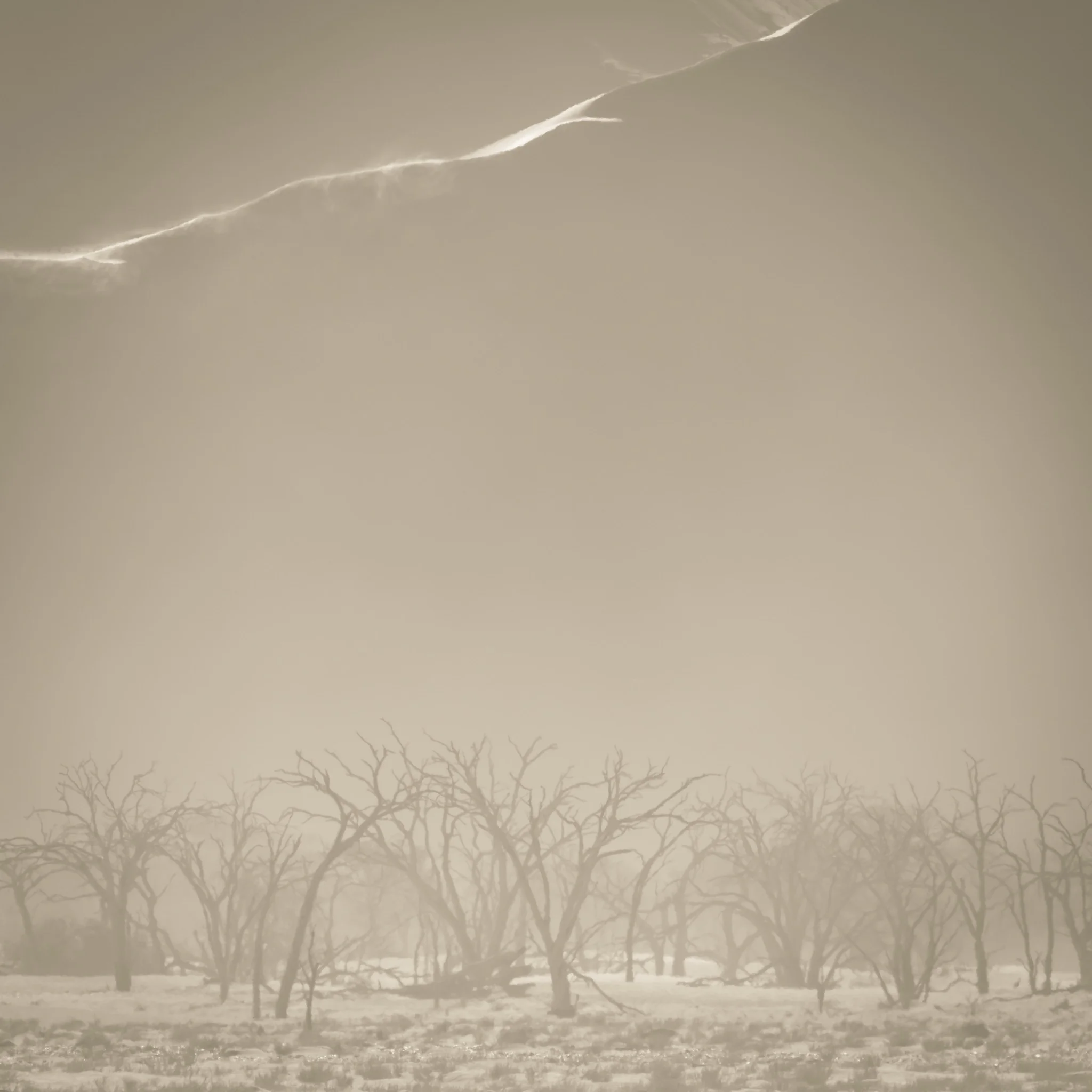 Sandstorm 