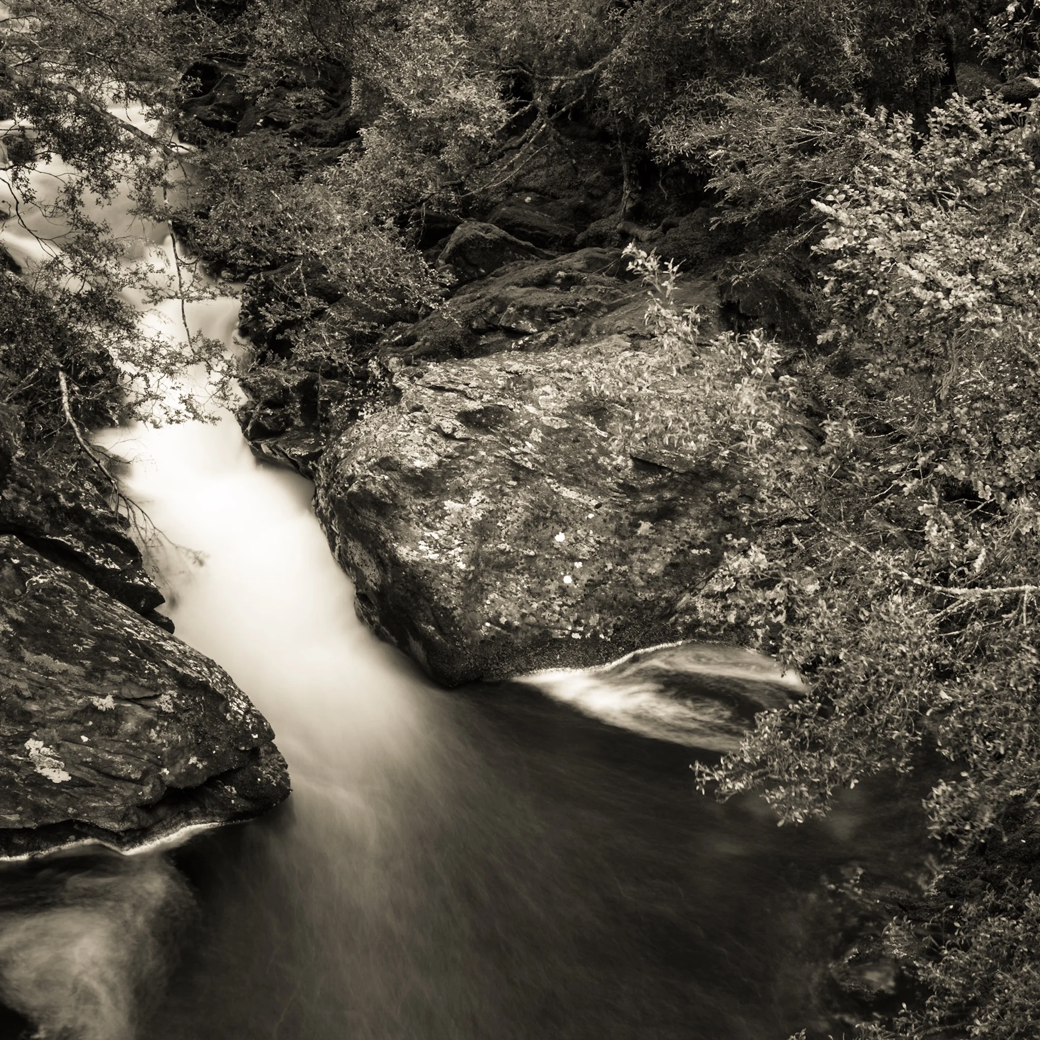 Stewards of the environment 