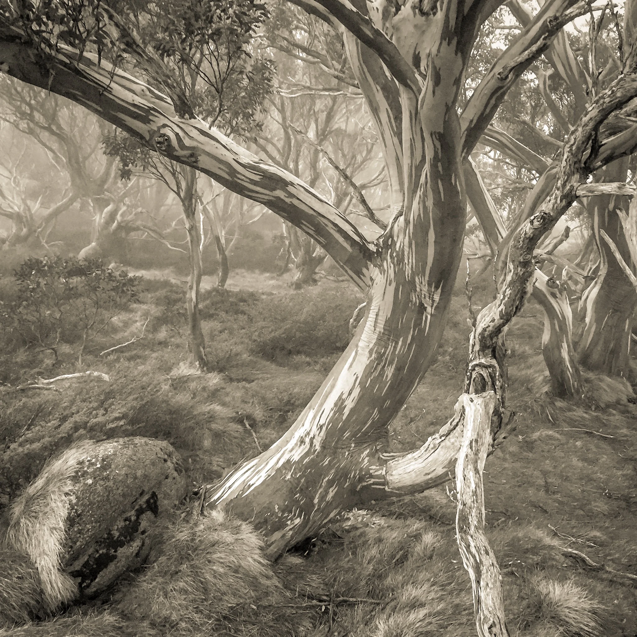 Do we still believe in photographs?