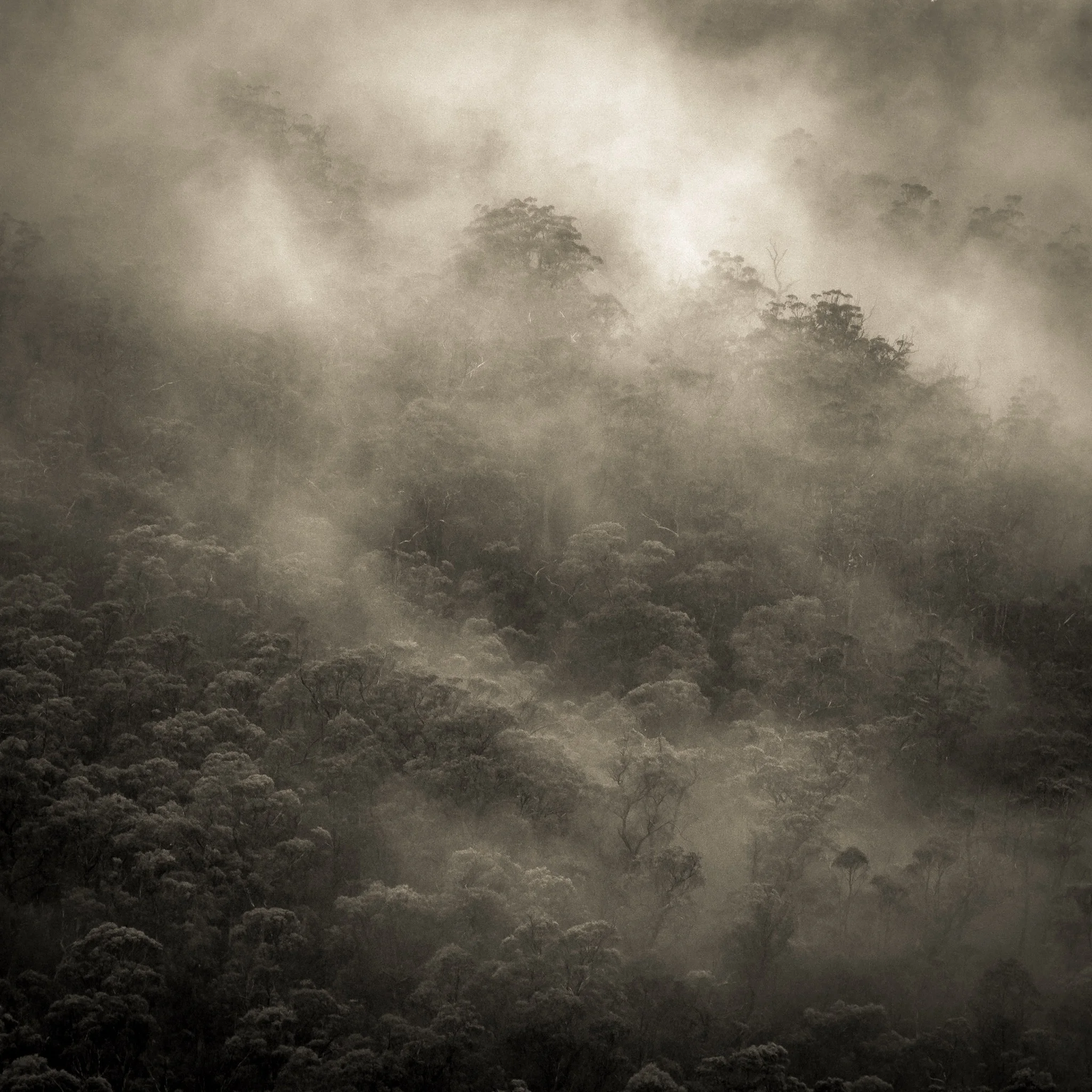 We all have different reasons