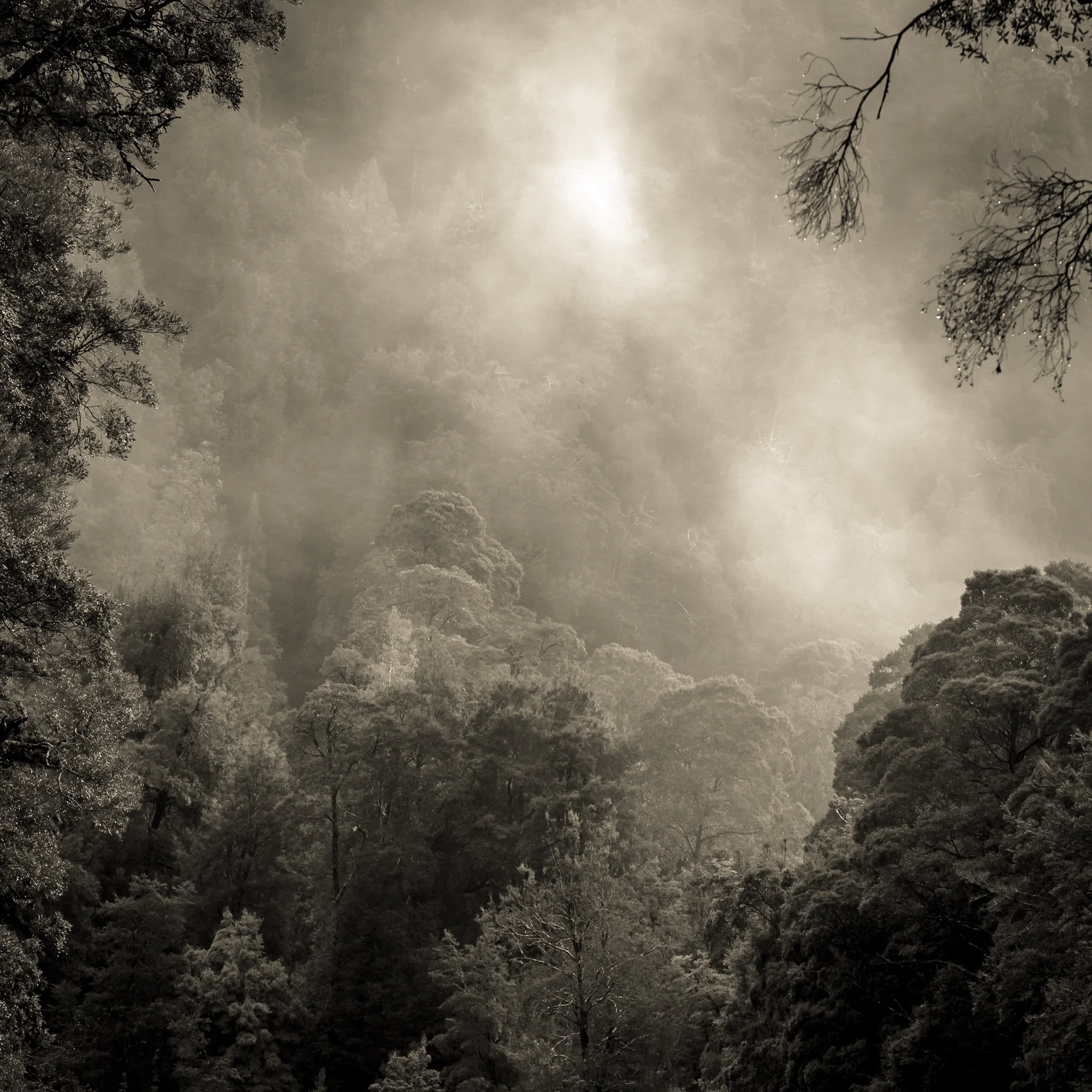 The Art of Wild Gallery 