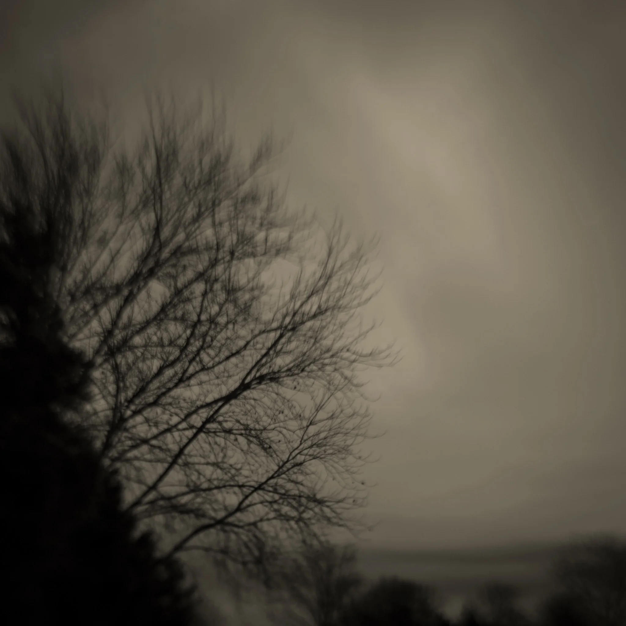Approaching Storm
