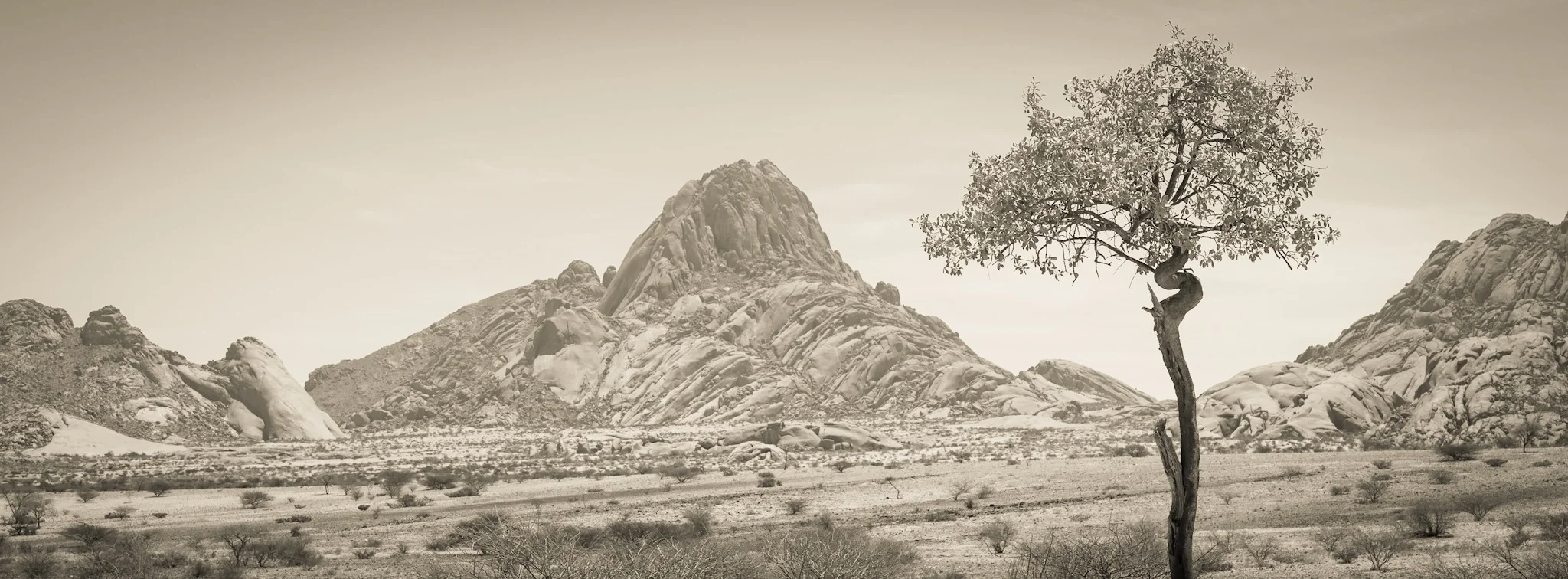 Trees are the answer...