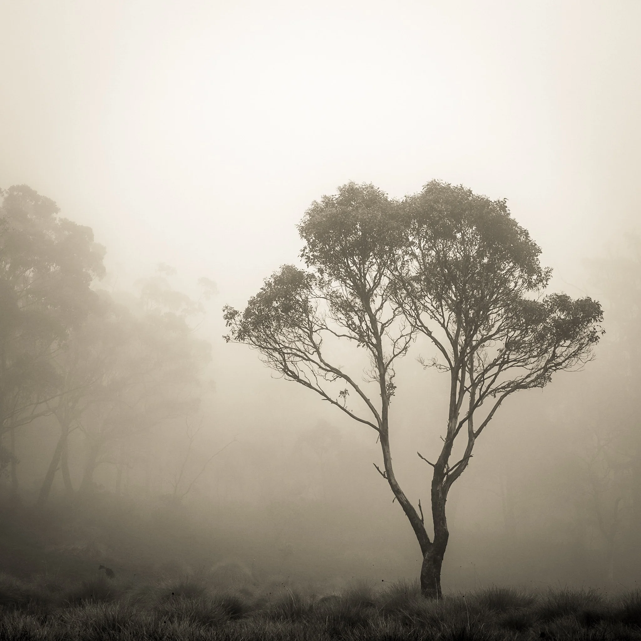 Practice and develop your photography