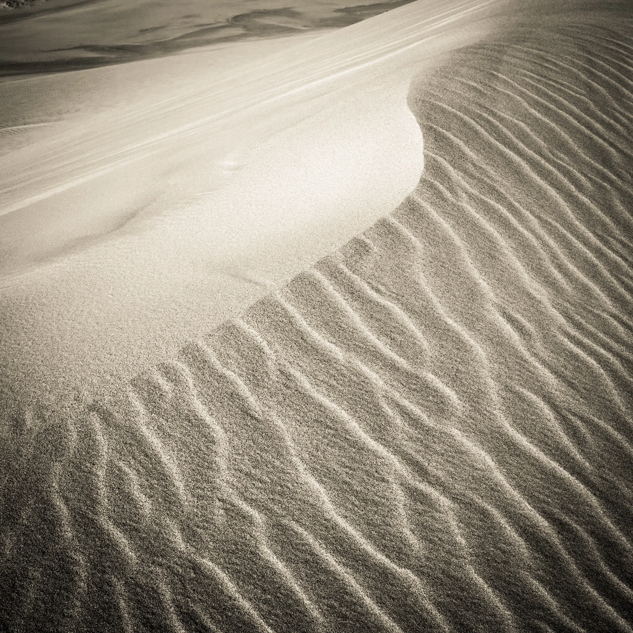 Esperance Sand Dunes