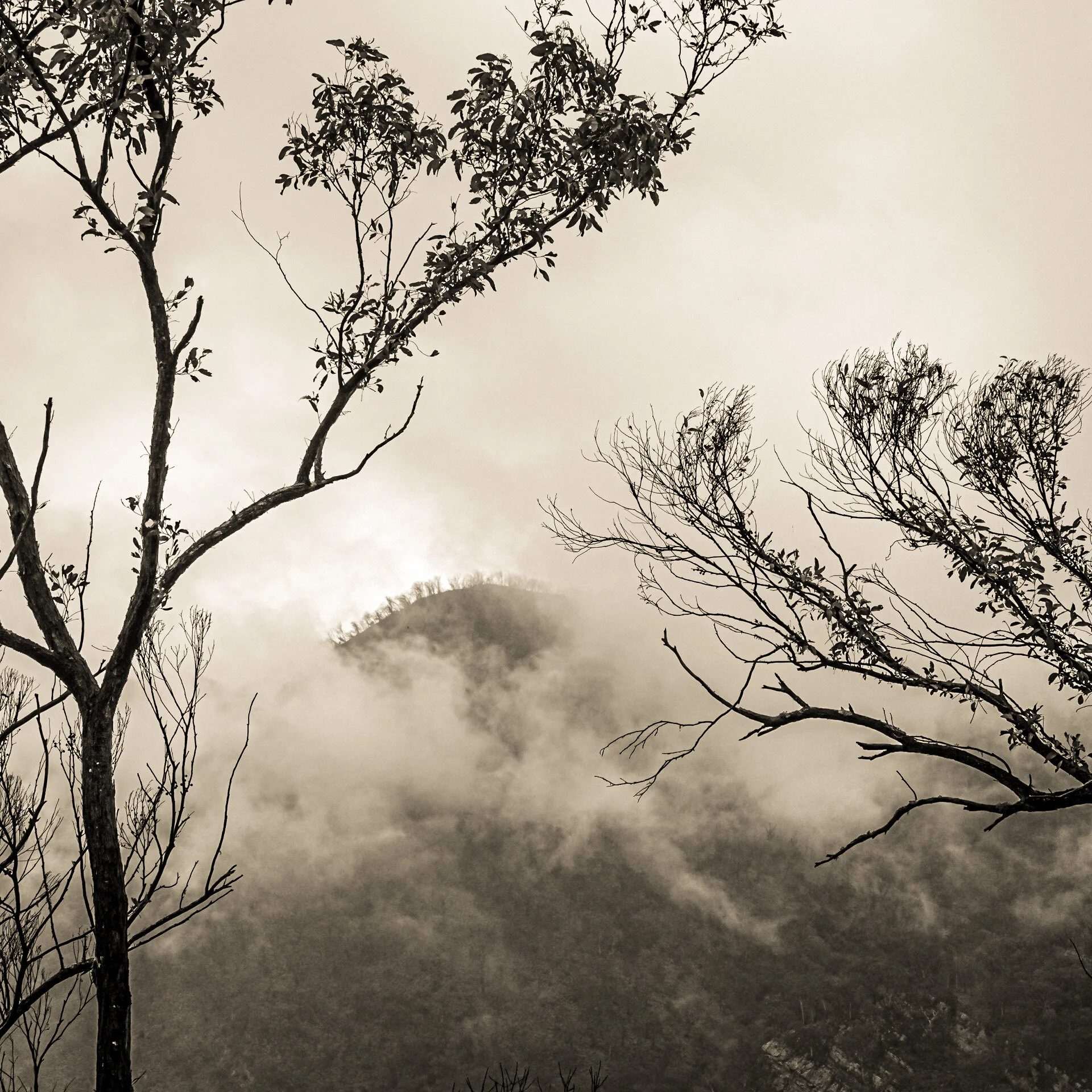 Six days walking and a handful of photographs