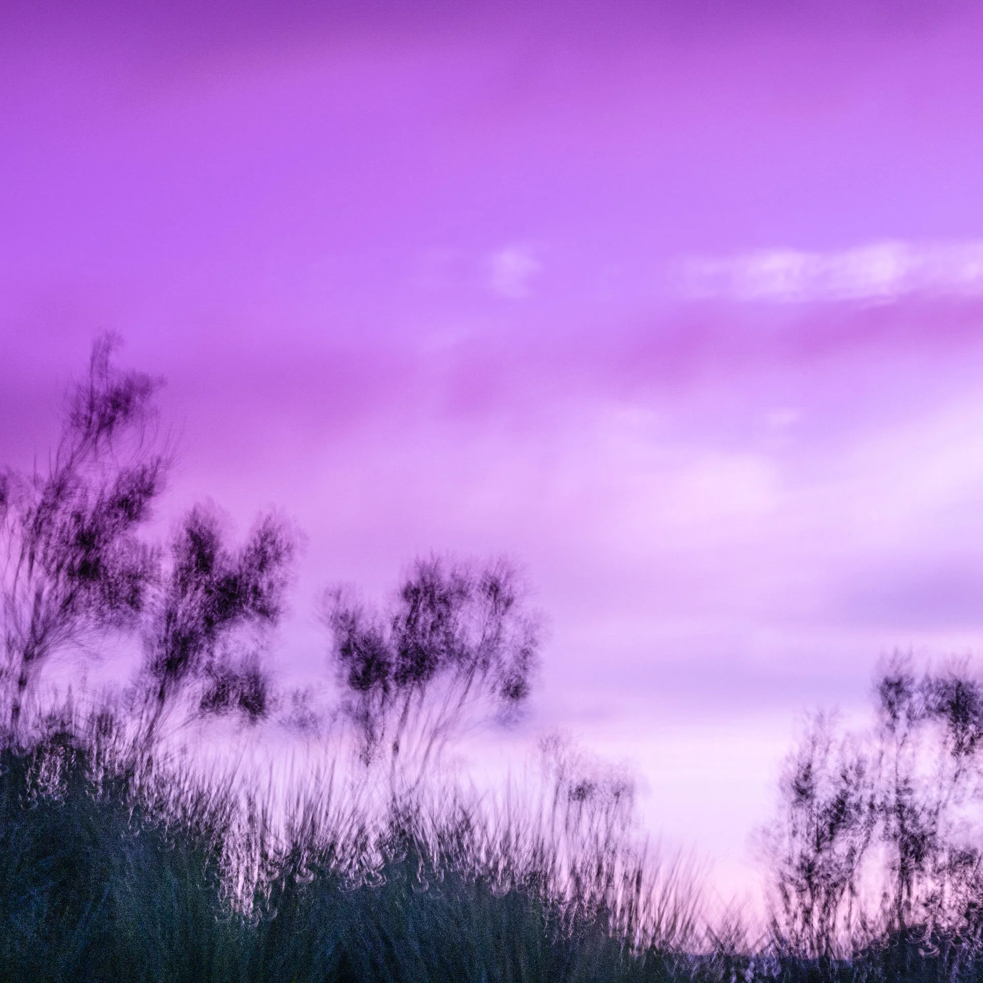 Abstract Workshop at Leura