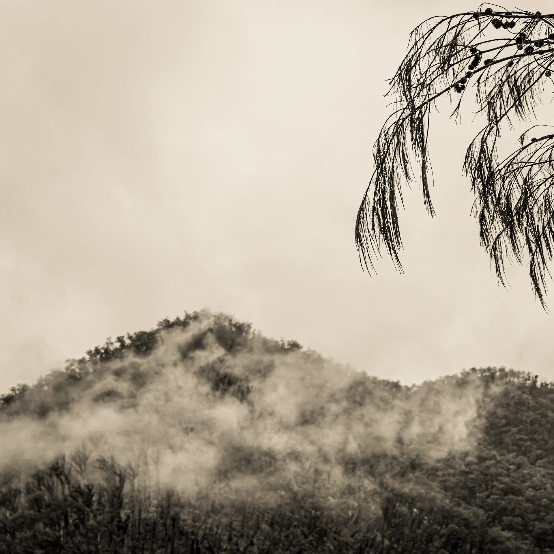 Rising mist at Kanangra