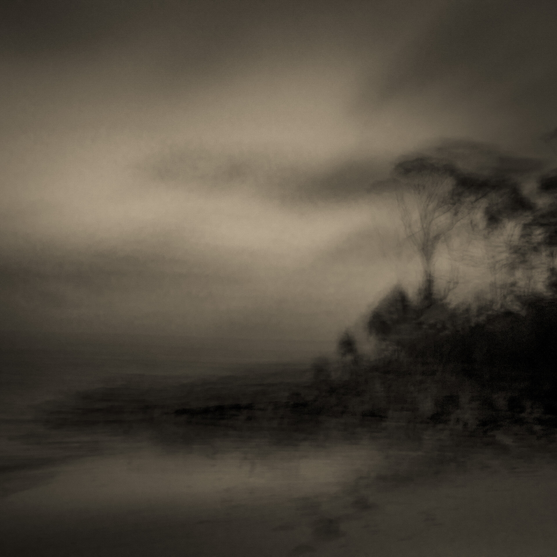 Chase beautiful light