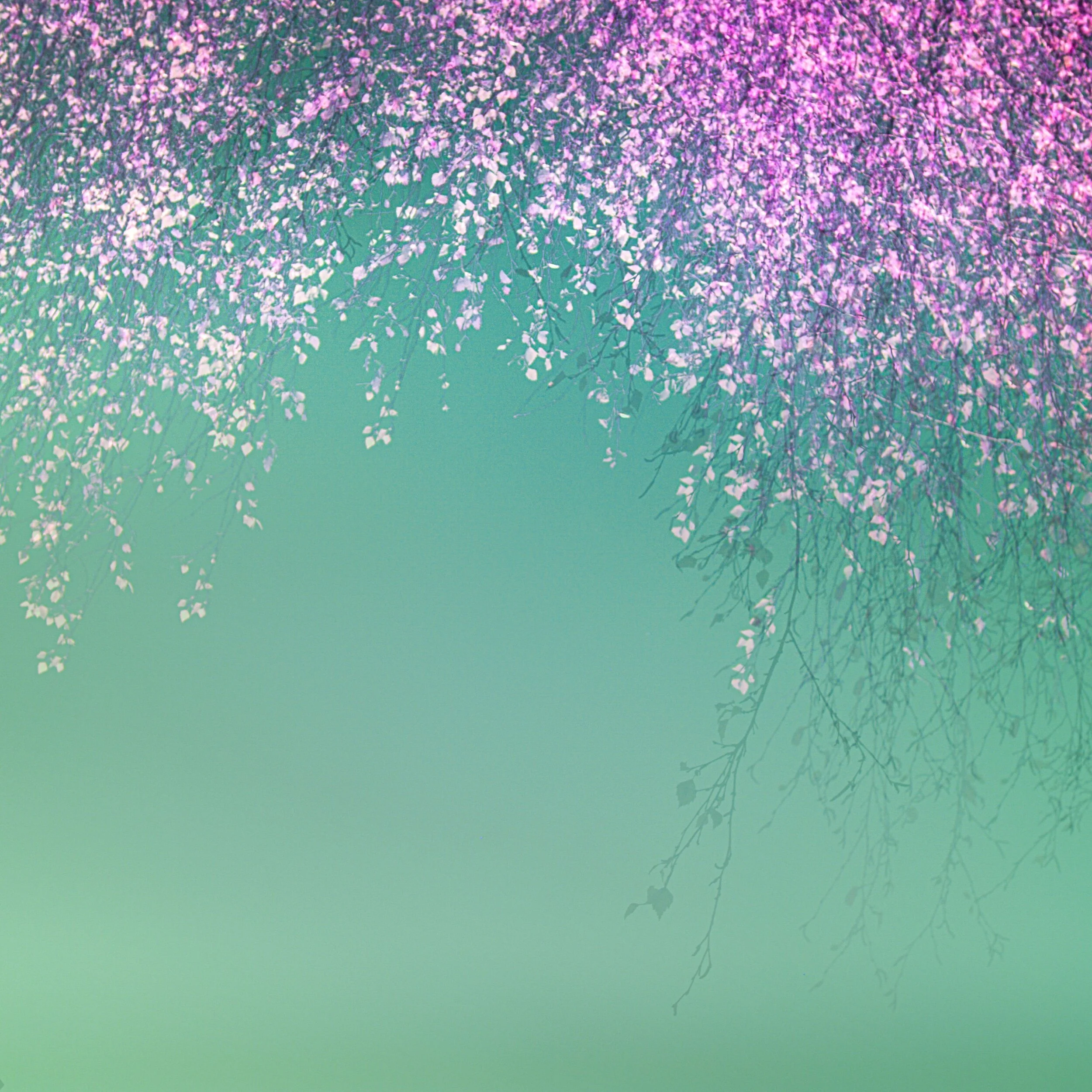Experiment