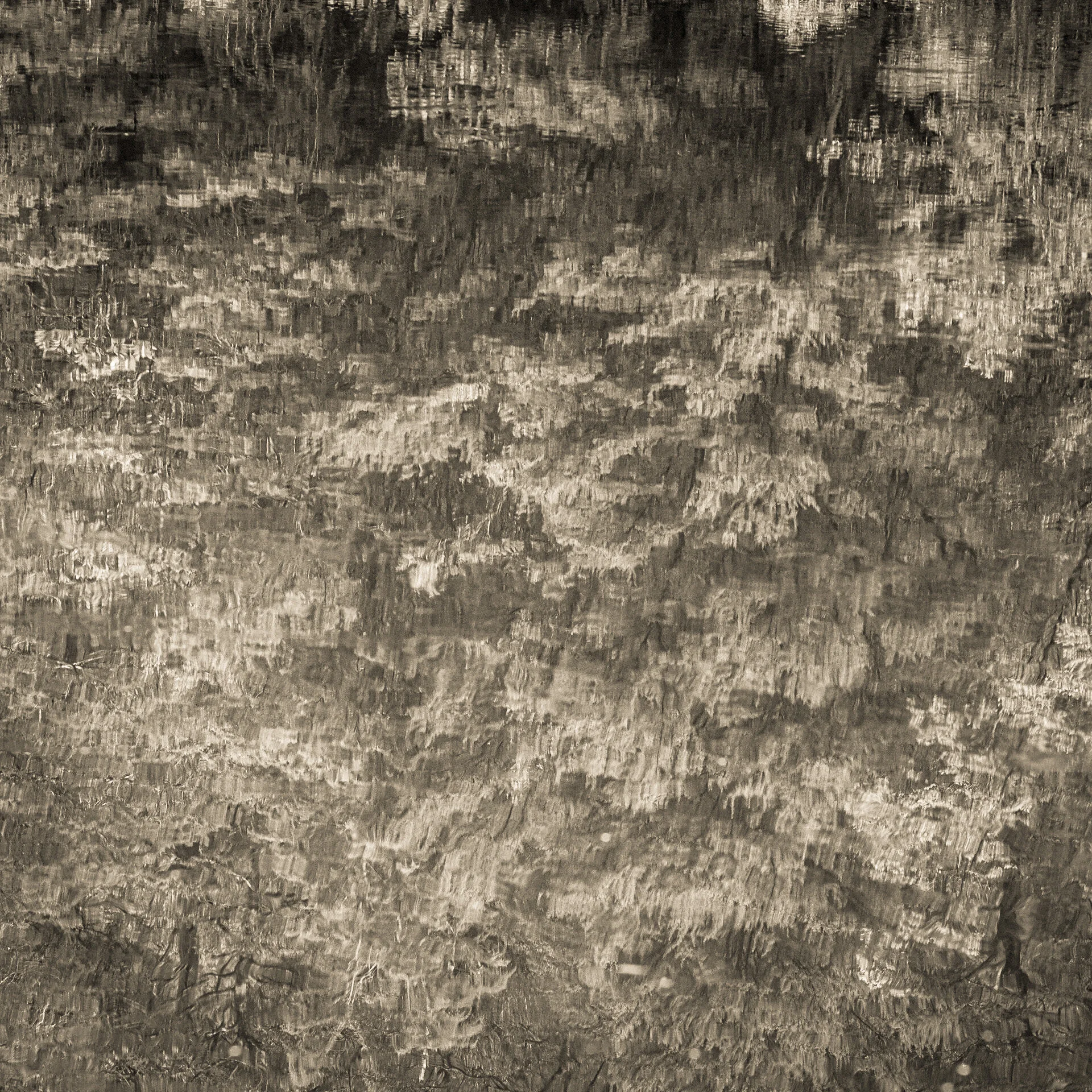 Huon Pine