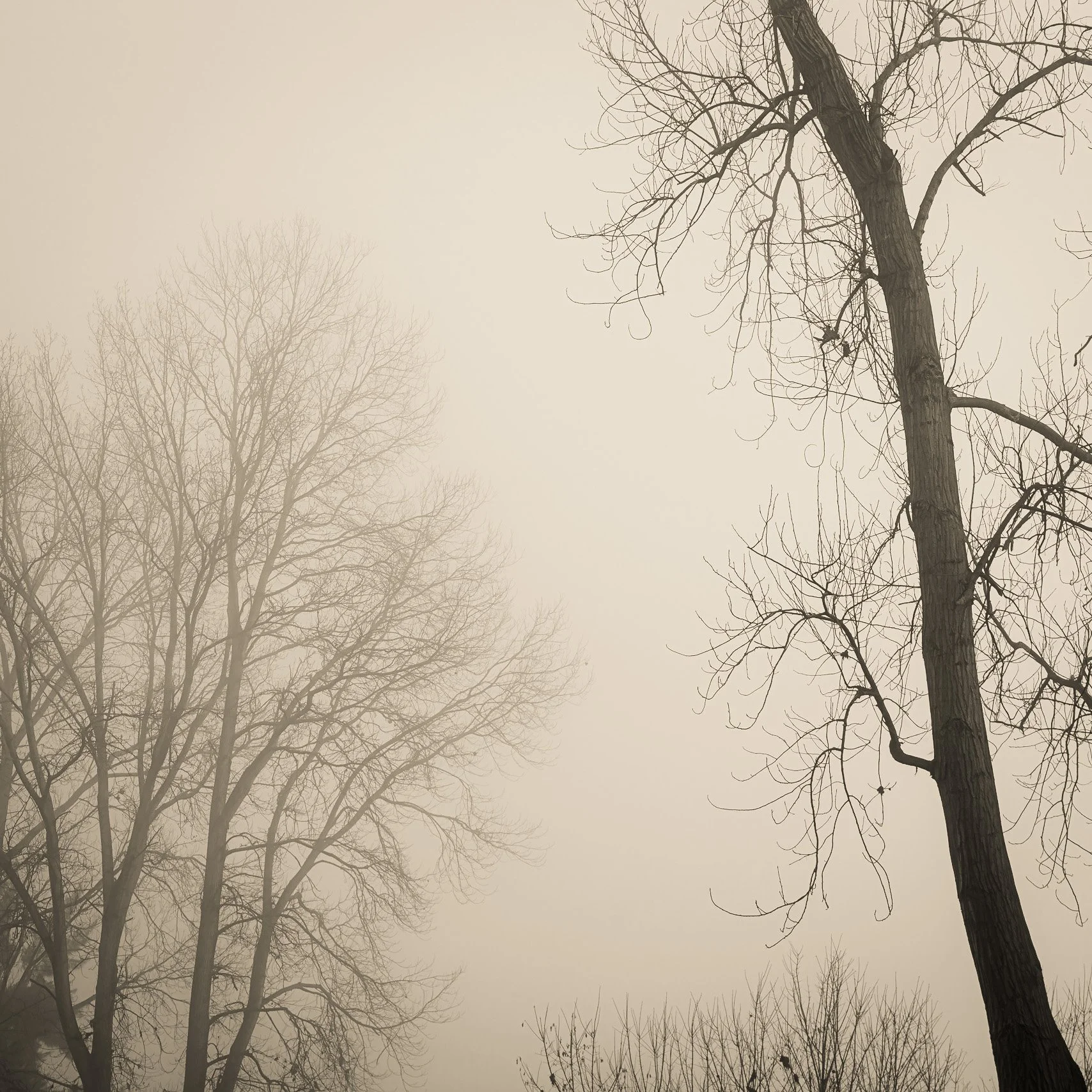 a very misty morning