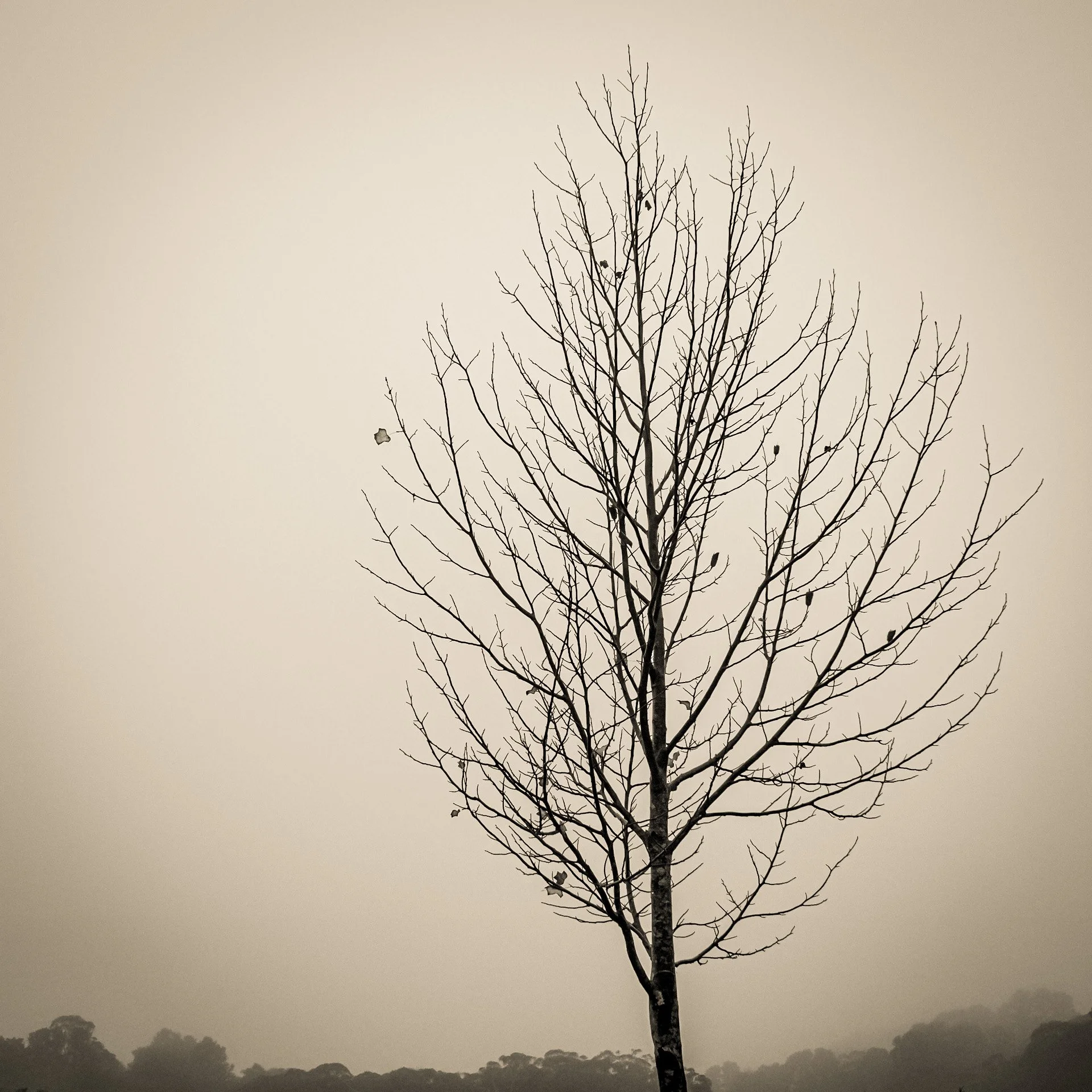Autumn’s here