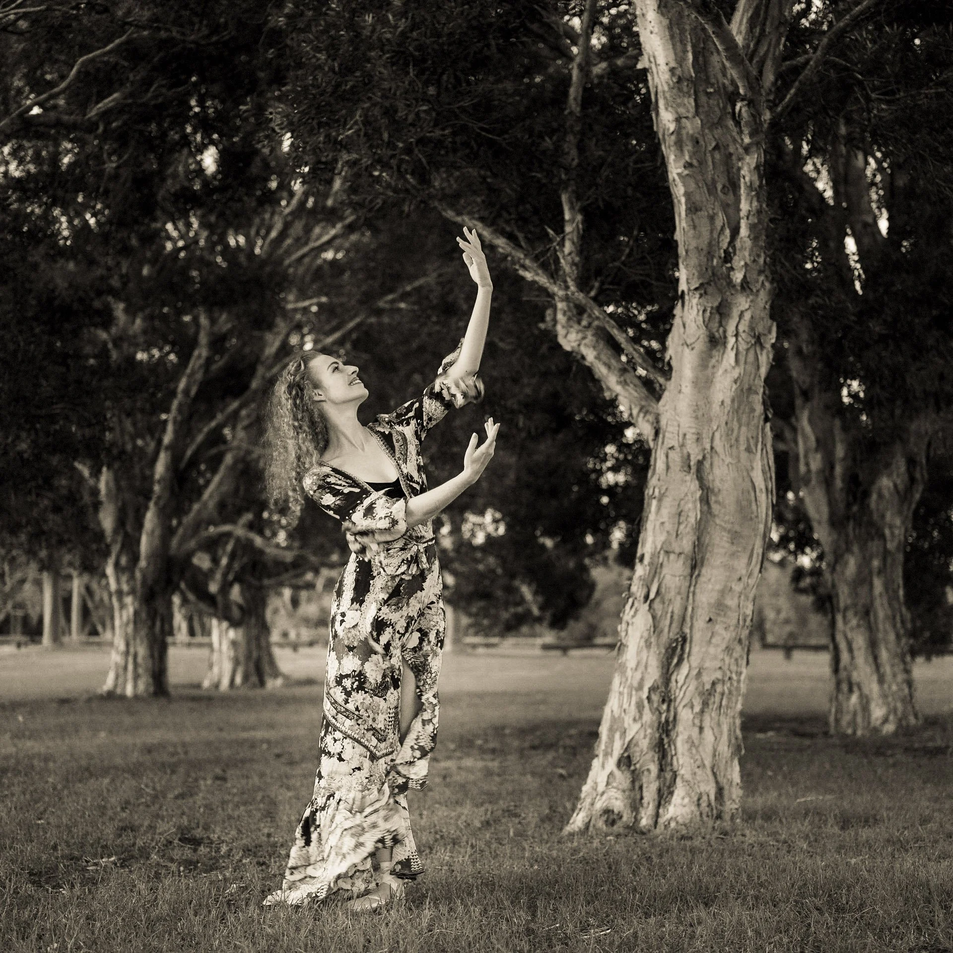 Dancing With Trees