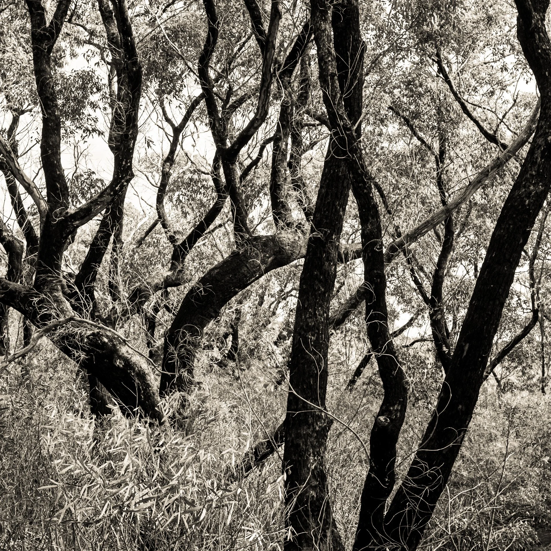 Short Lens Creative Retreats