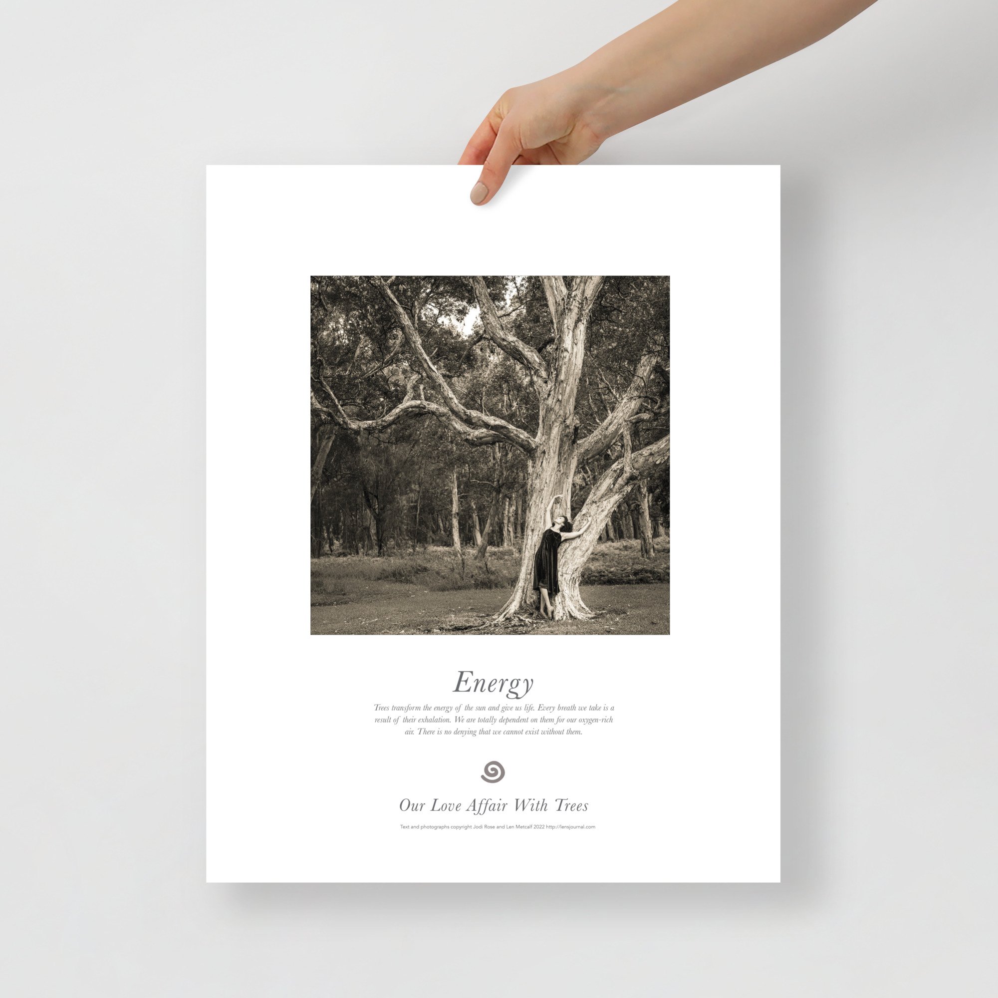 Energy - Our Love Affair with Trees - 16" x 20" poster