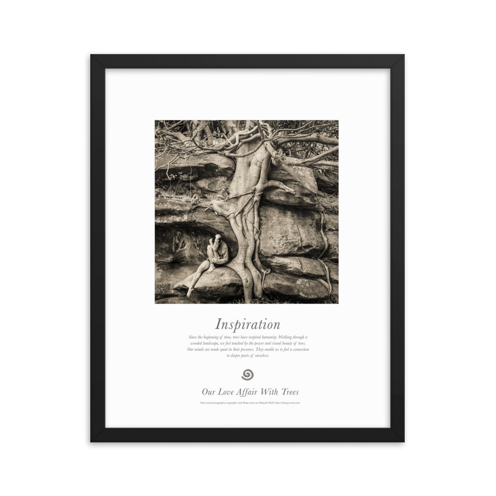 Inspiration - Our Love Affair with Trees 16 x 20" Framed poster