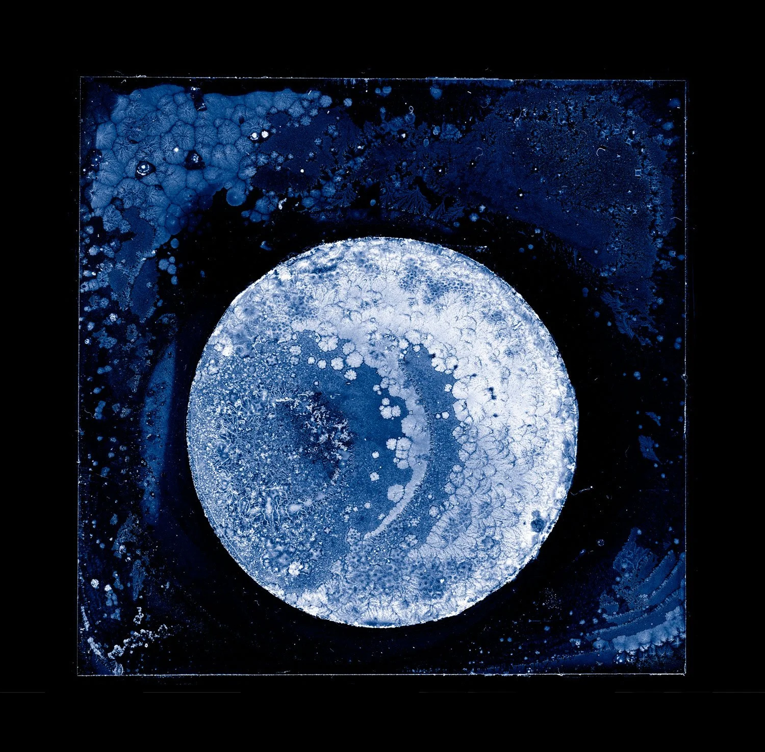 introducing: Paul Kenny