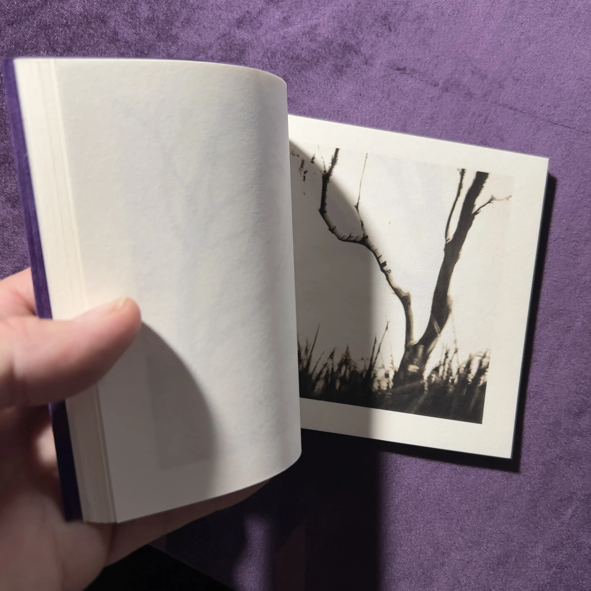 Online bookmaking workshop - starts soon in Feb 2024