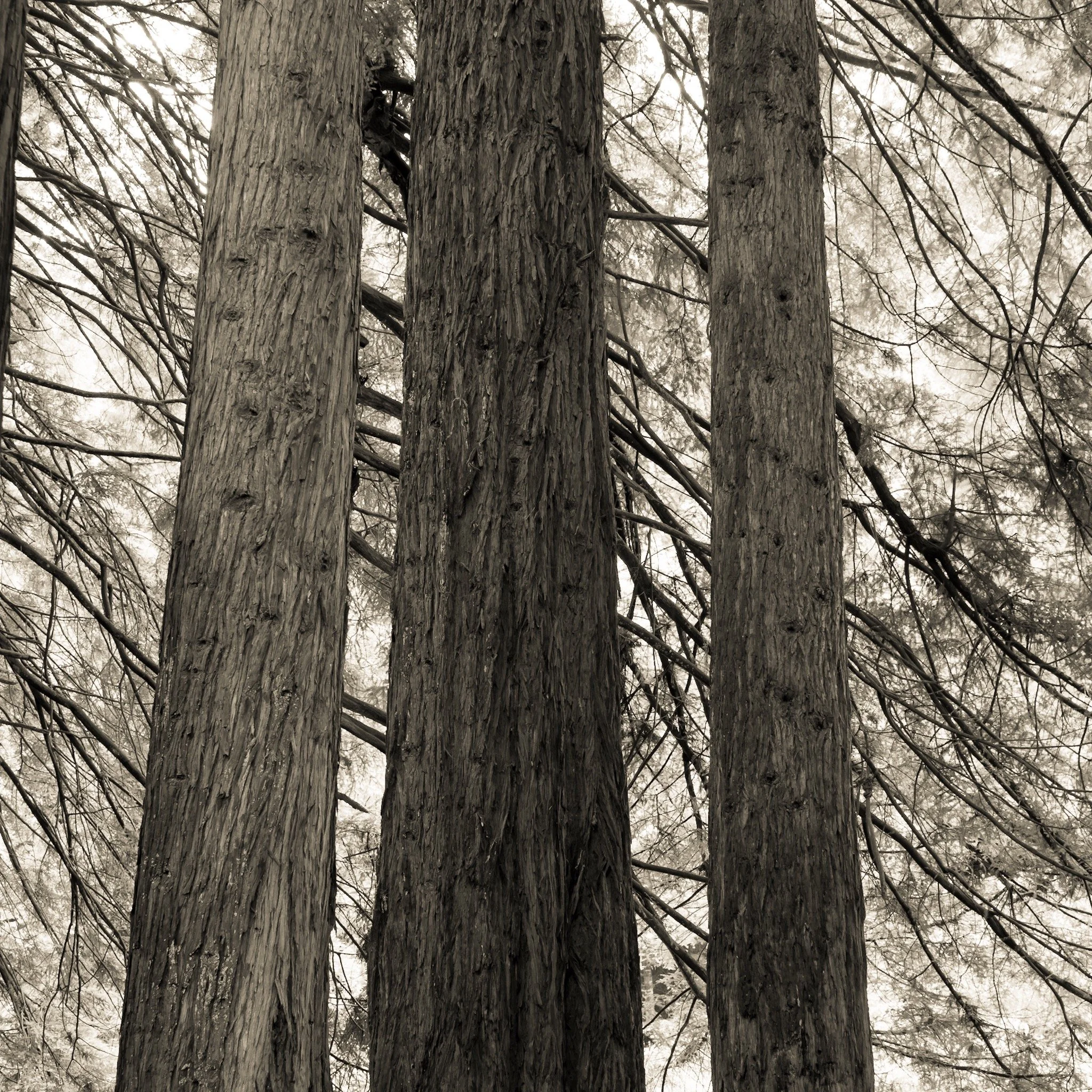 Otway National Park Photography Escape 2024