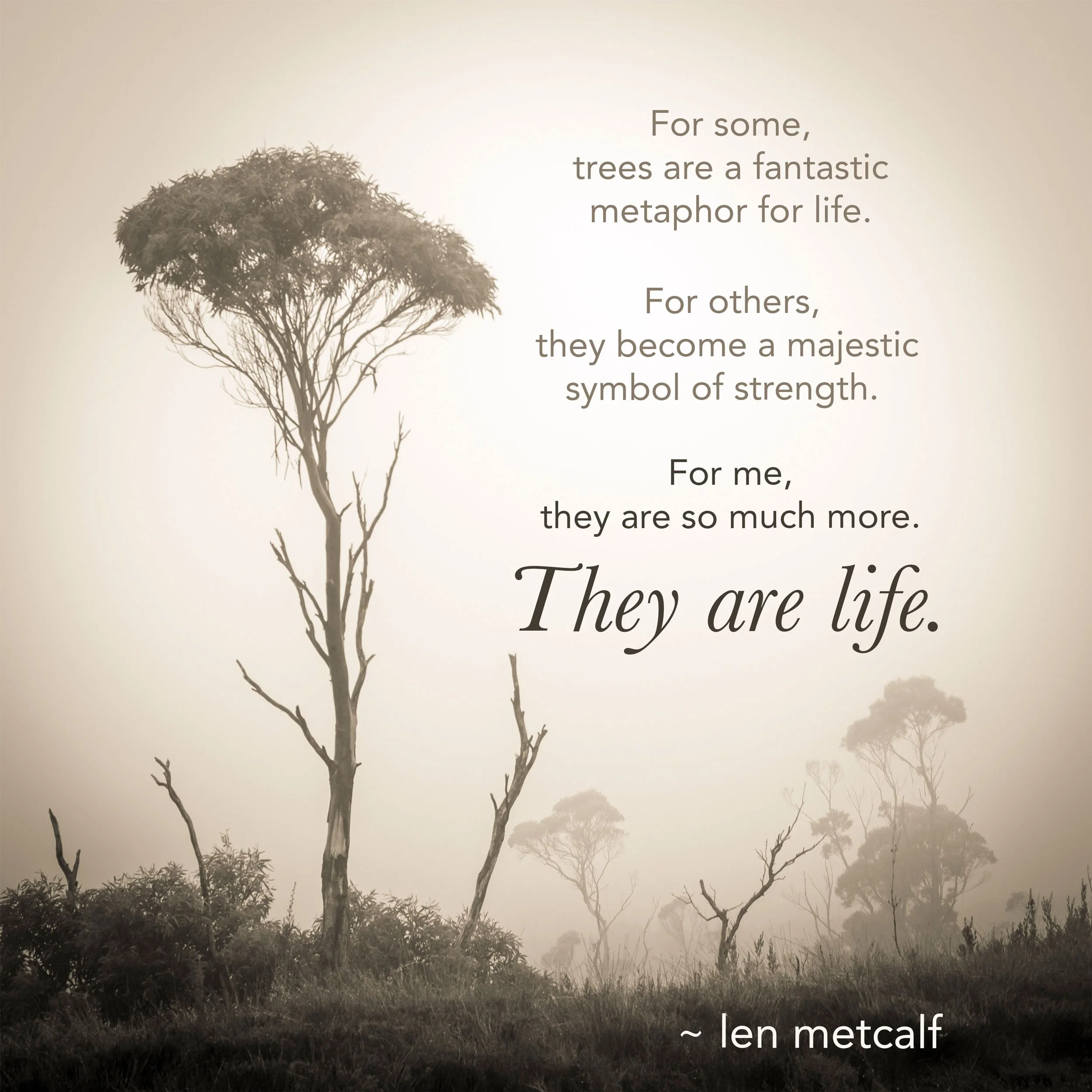 Trees are life
