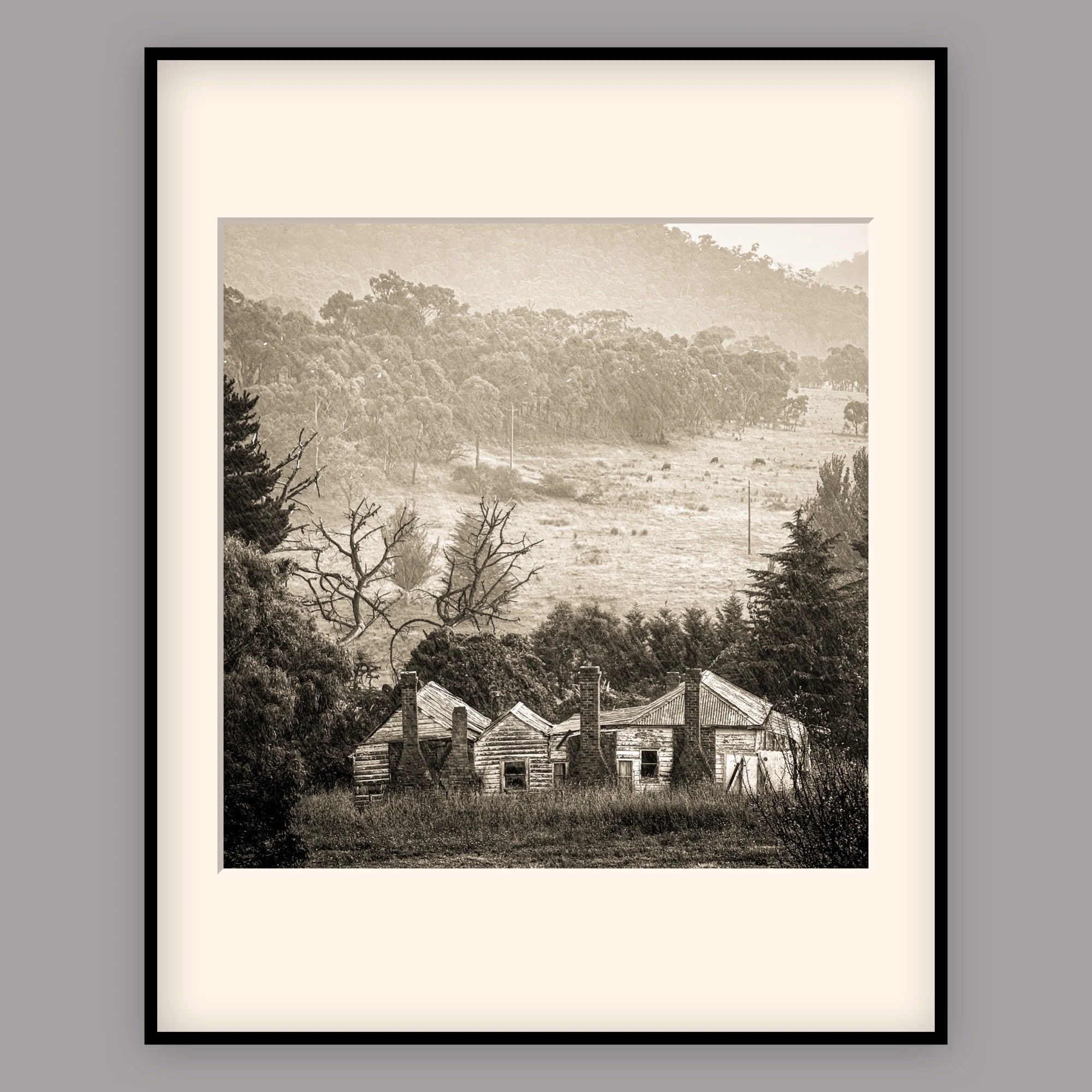 Framed-2024-04-16 203847.JPG