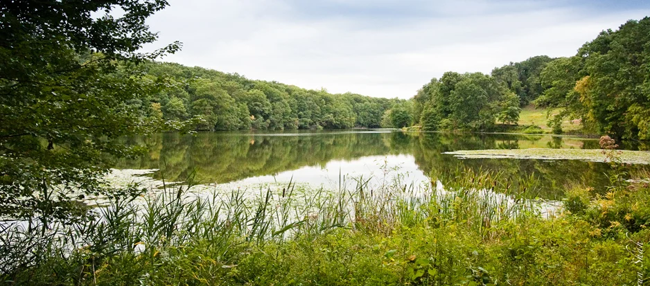 Rockefeller State Park Preserve 938x413.jpg