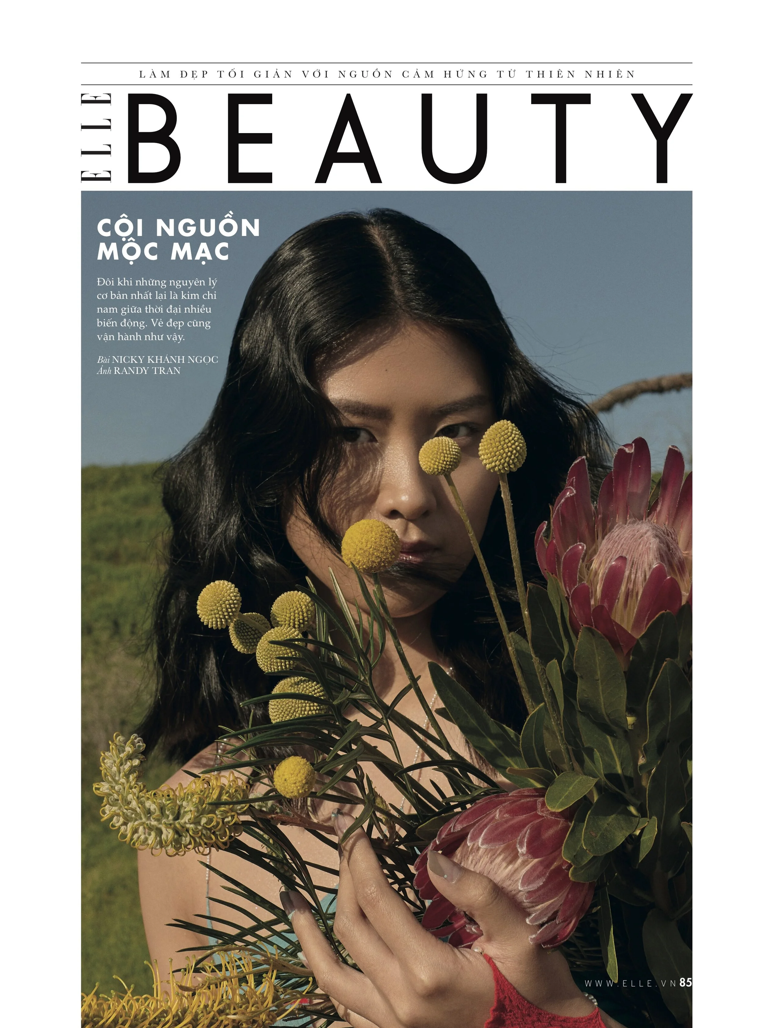 085 Cover beauty (C).jpg