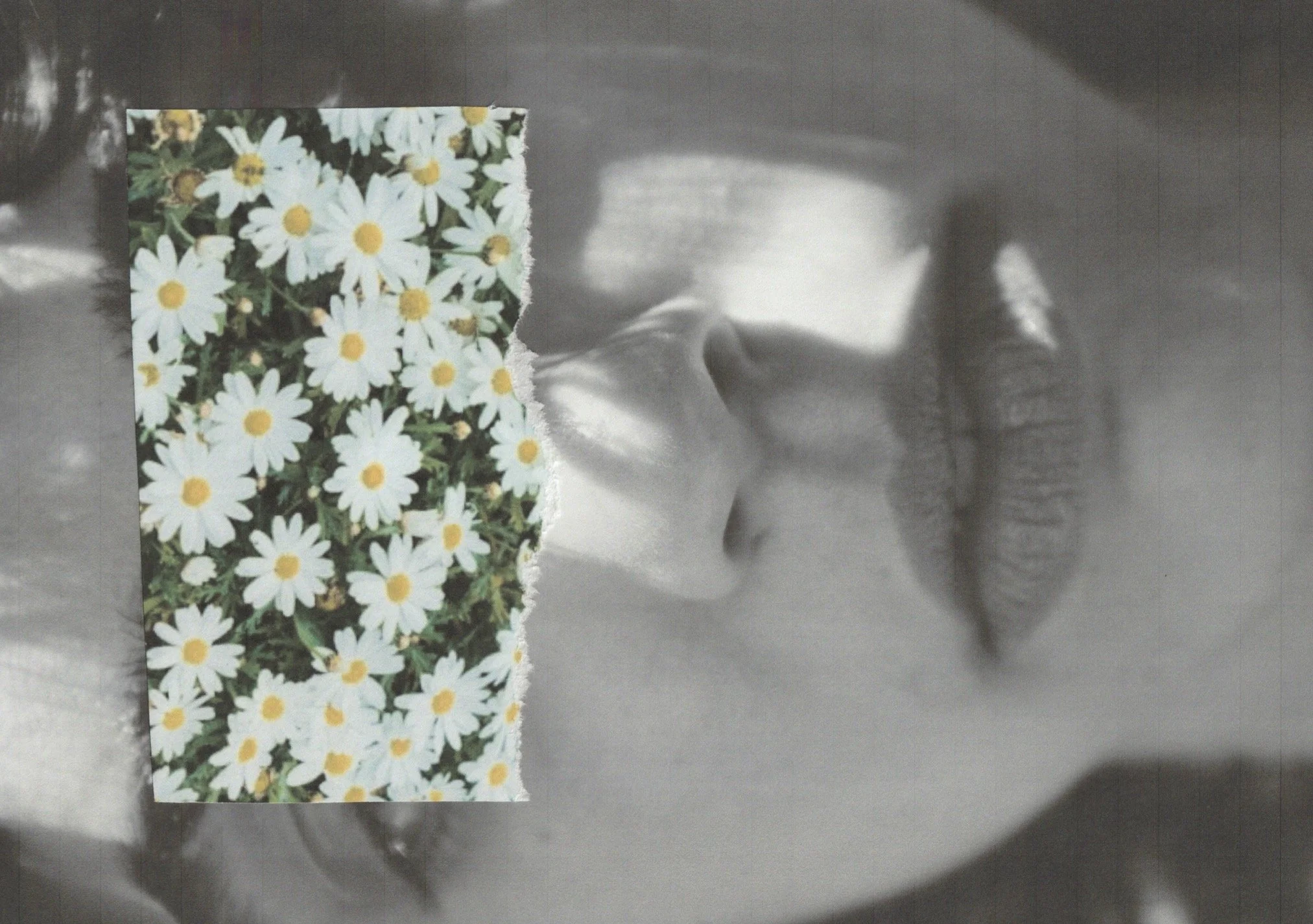 CM_ISSUE1_FULL (dragged) 6.jpg
