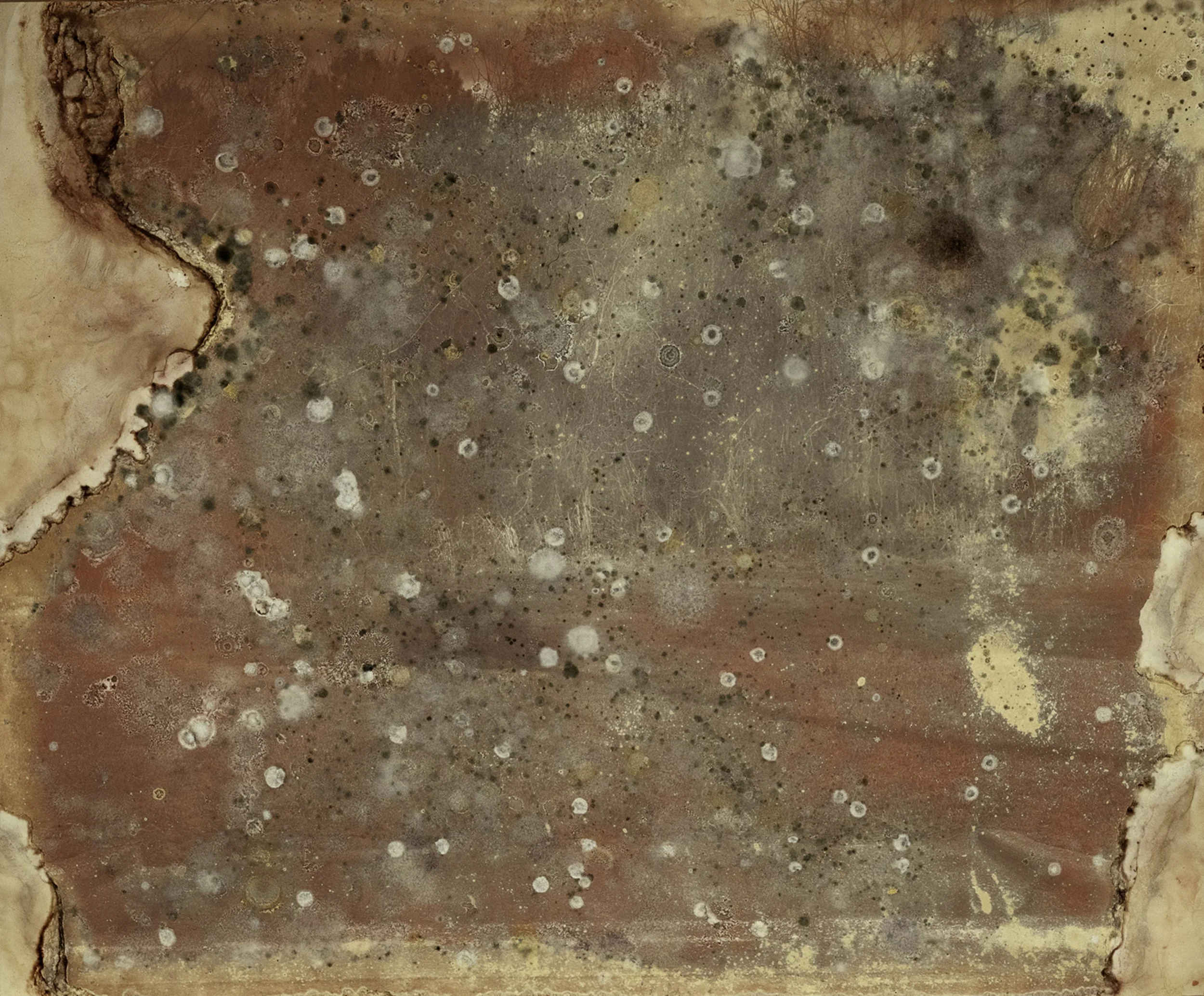 Thompson_Raymond_Bottomlands_01.JPG