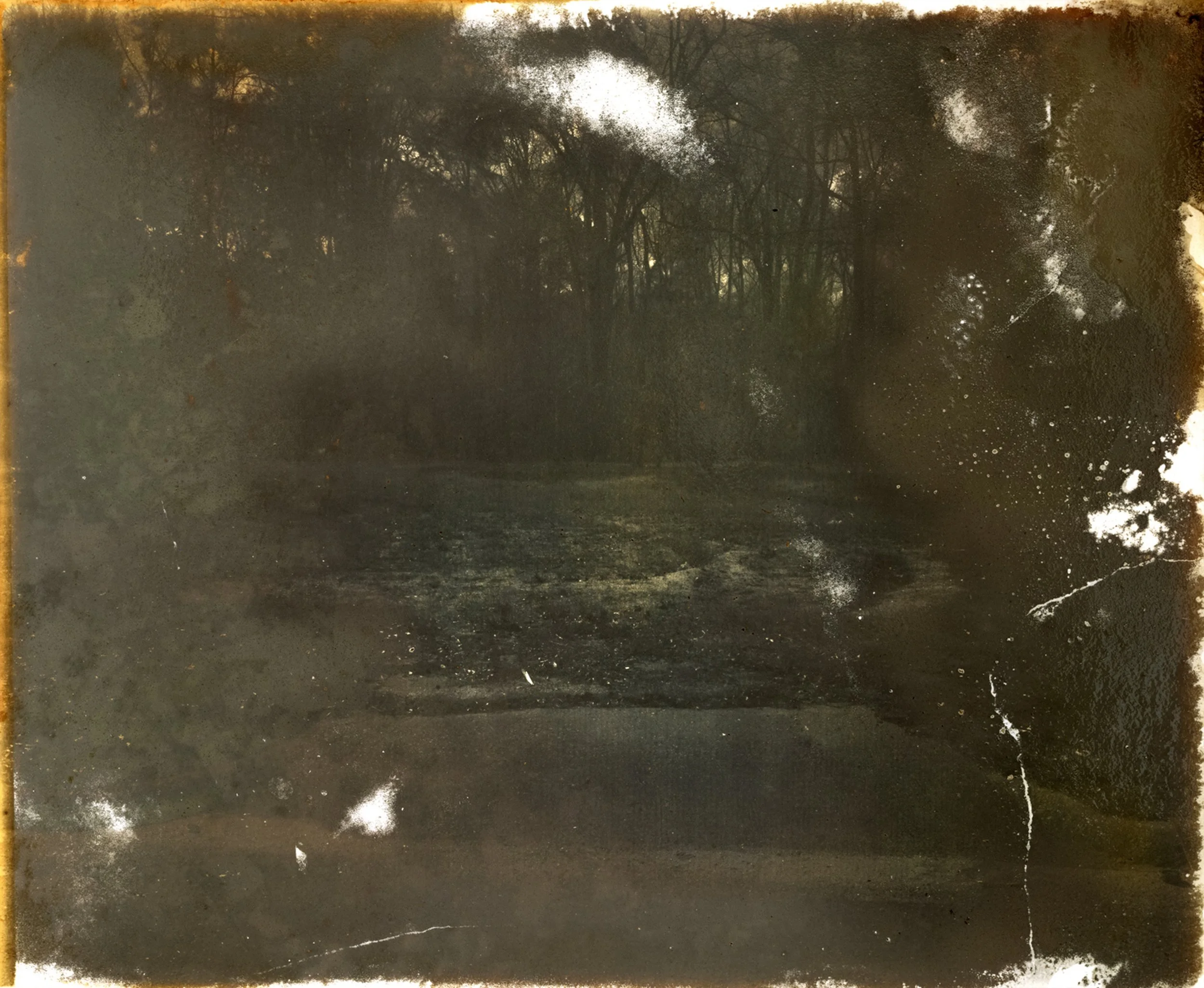 Thompson_Raymond_Bottomlands_06.JPG