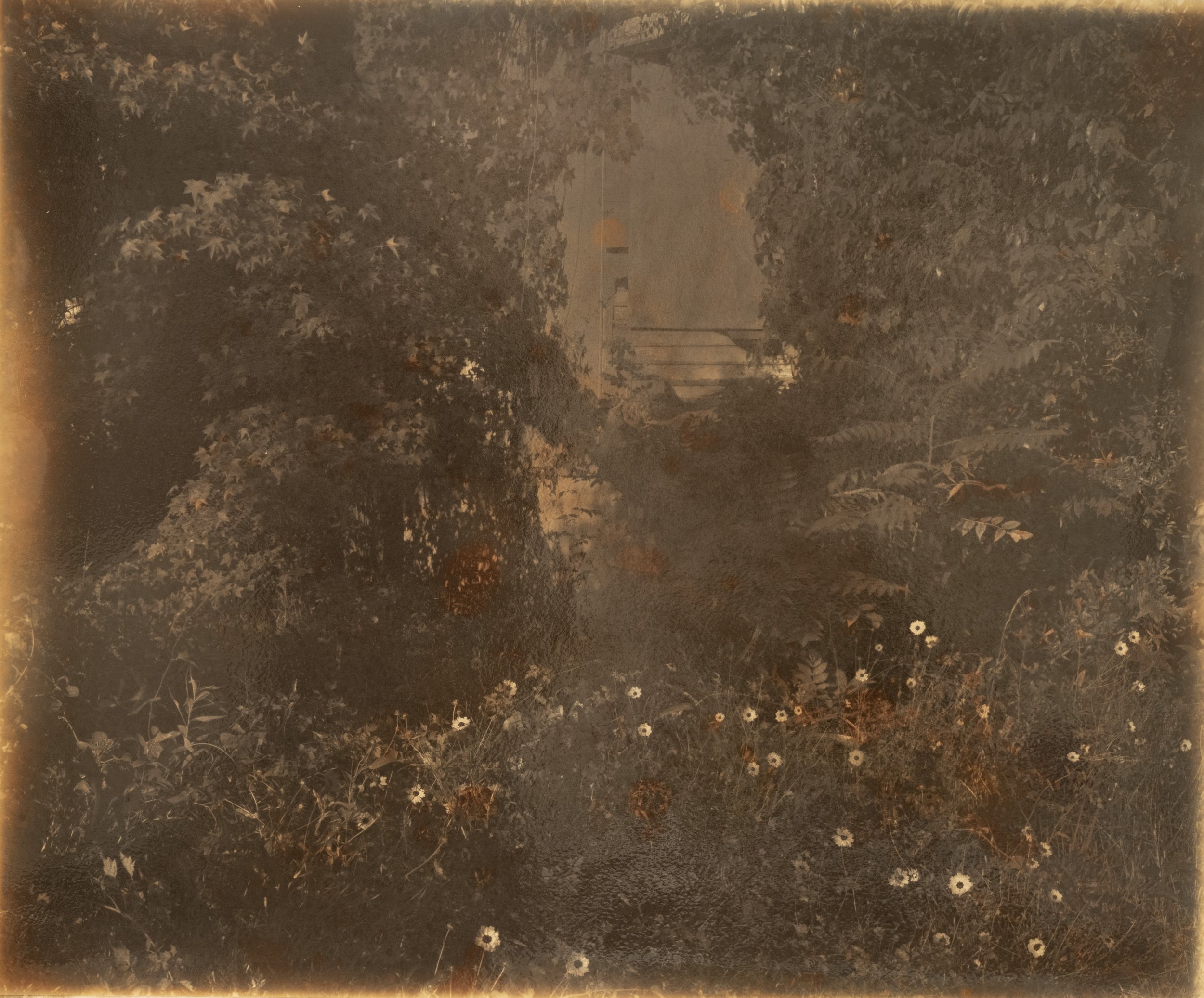 DSCF0275-edit.JPG