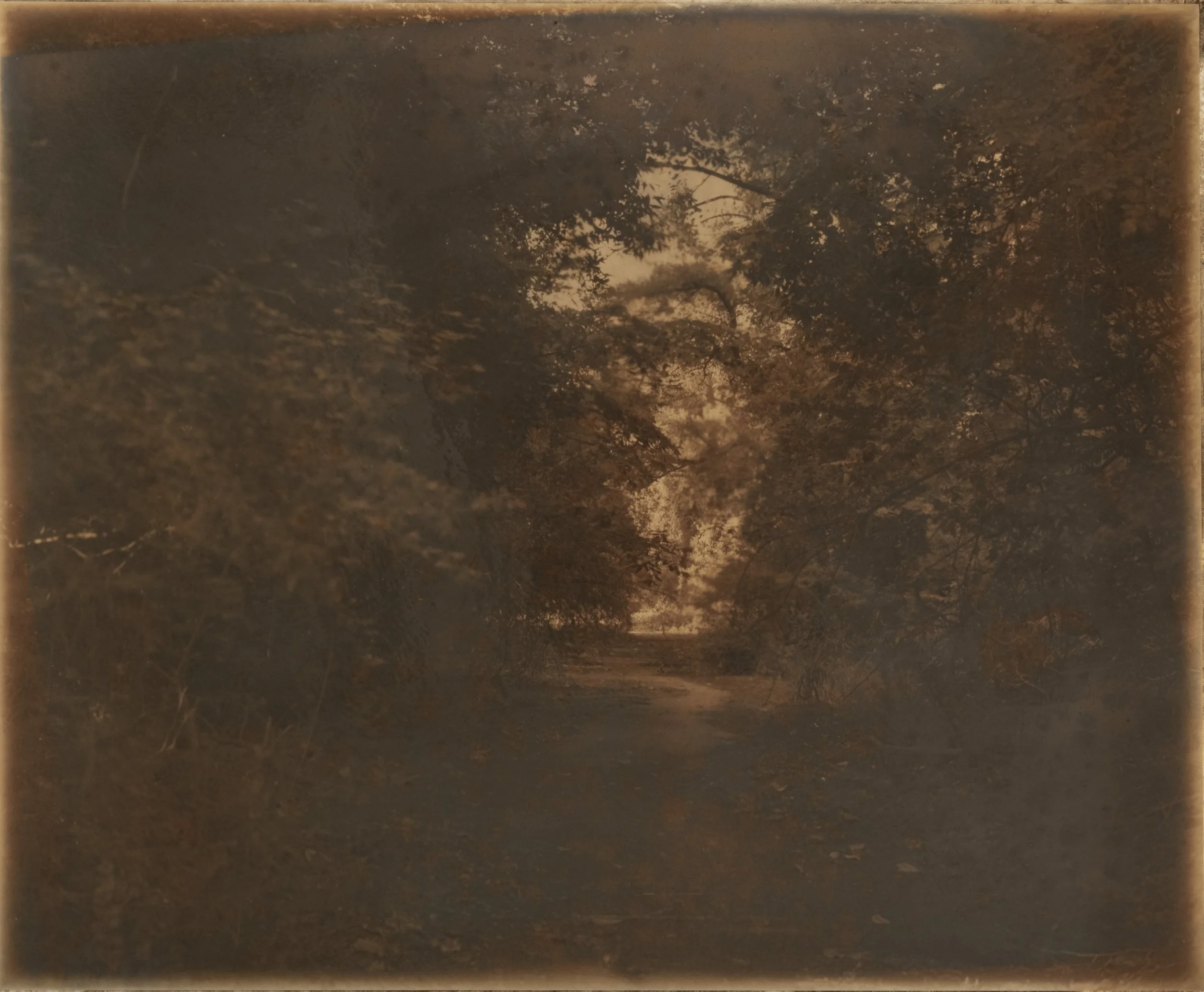 DSCF0328-corr.JPG