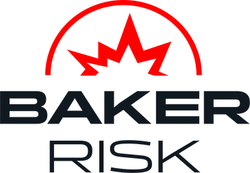 Baker Risk Logo.png