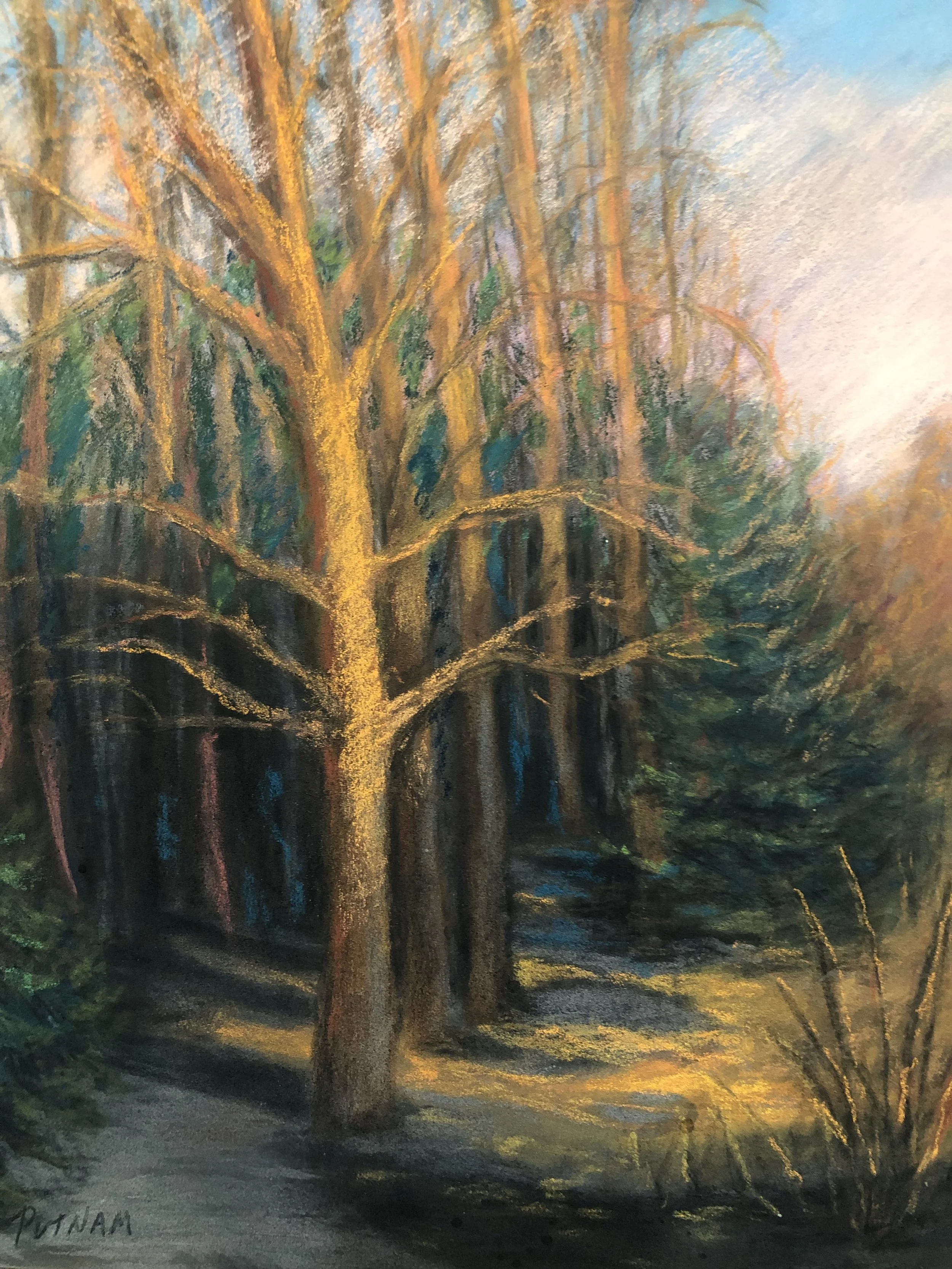 “Good Morning” | 14” x 11” | pastel