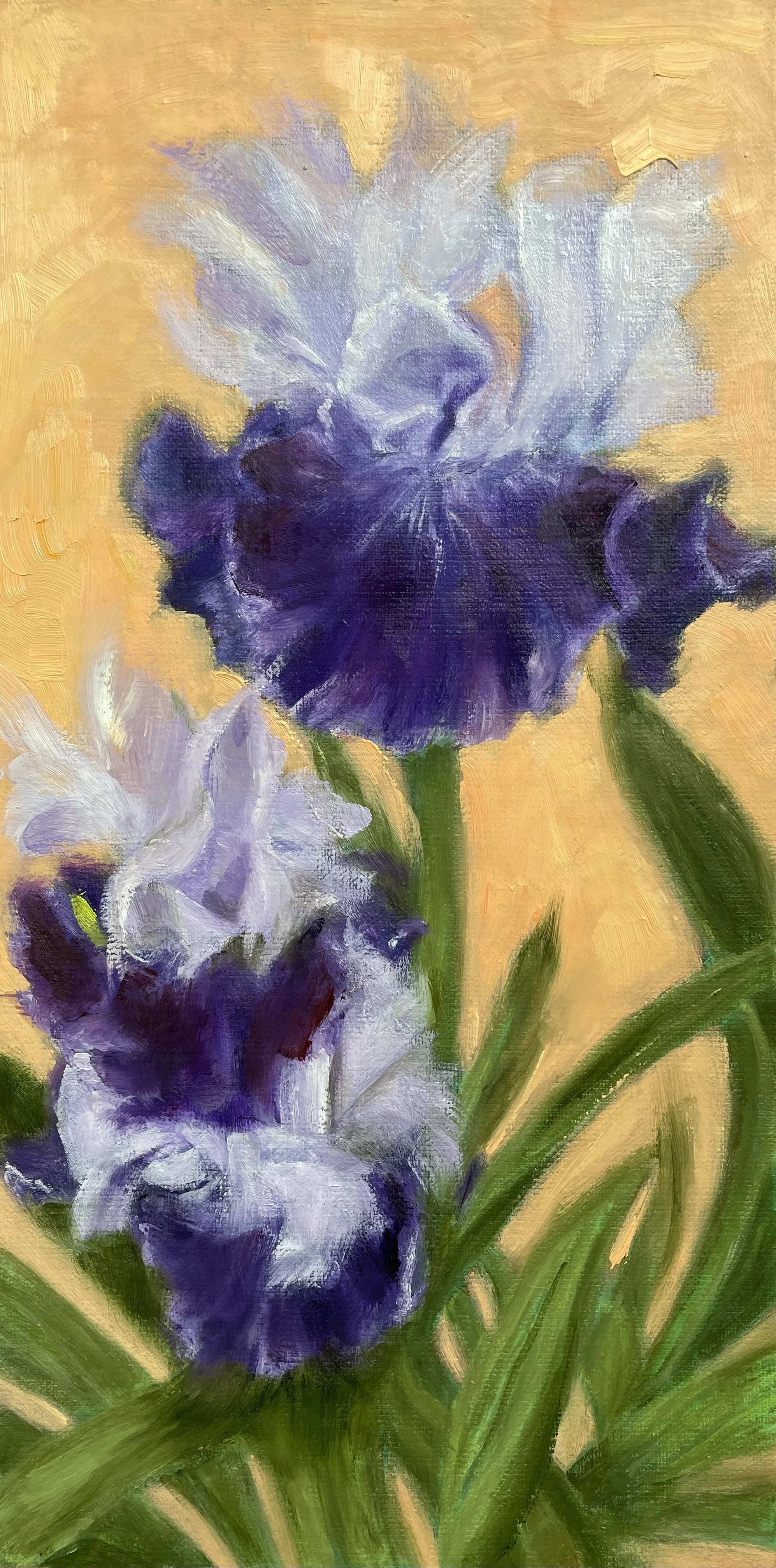 Iris