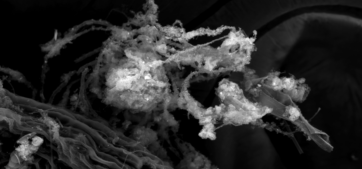 Abstruse