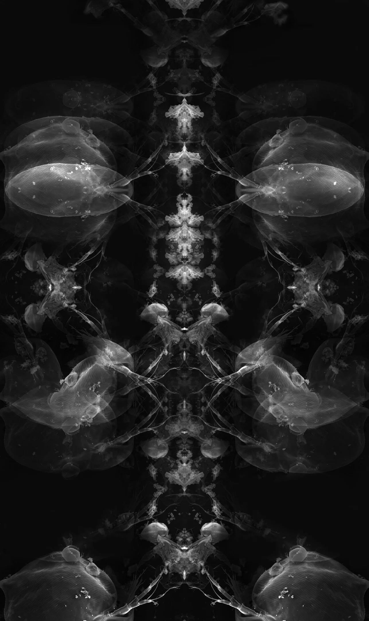 Axiom: Observation
