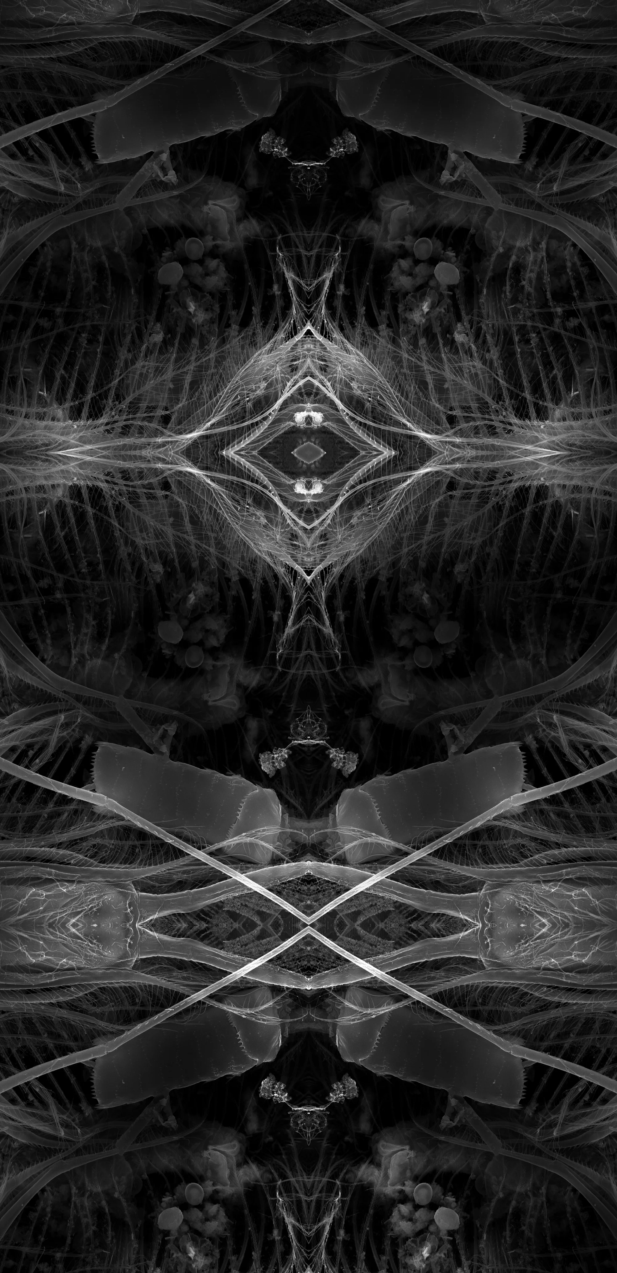 Axiom: Cross Reference