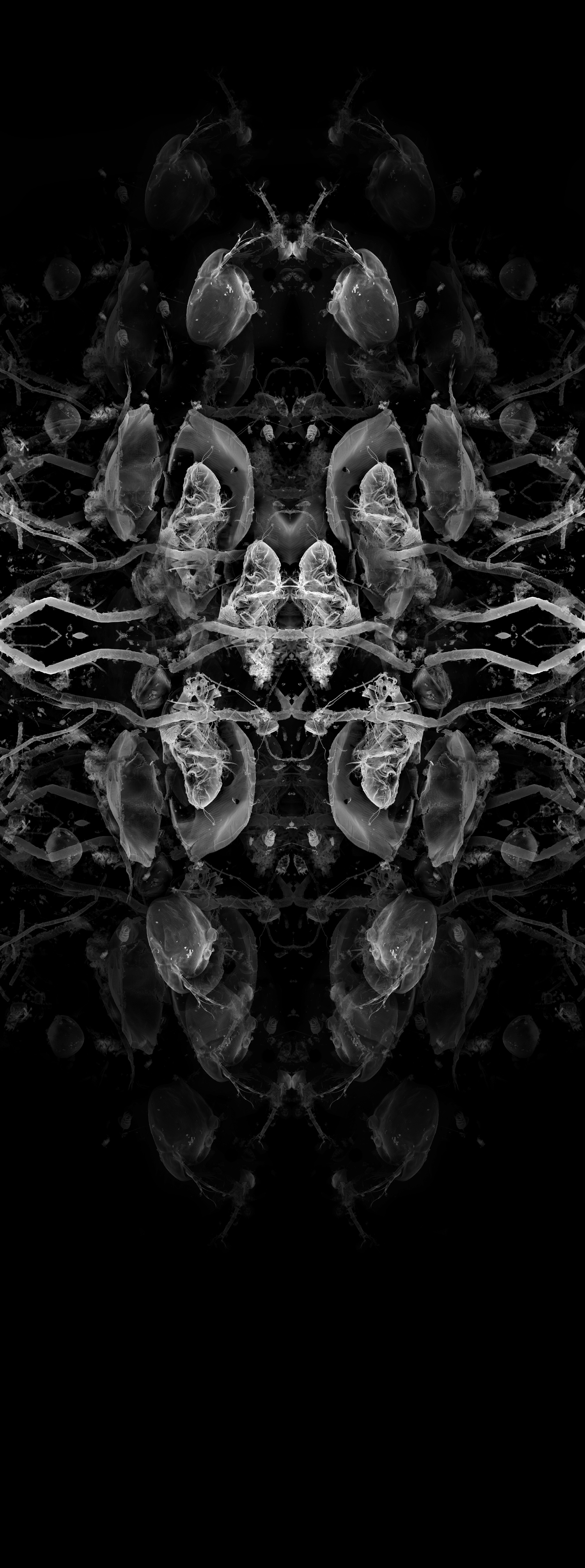 Axiom: Interpolation